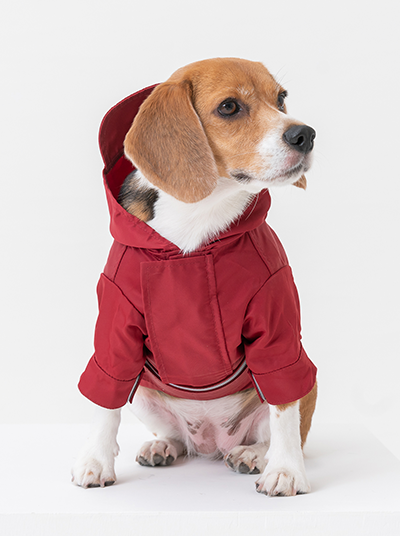 Tribeca Adjustable Velcro Raincoat -  Burgundy-thumbmail-6