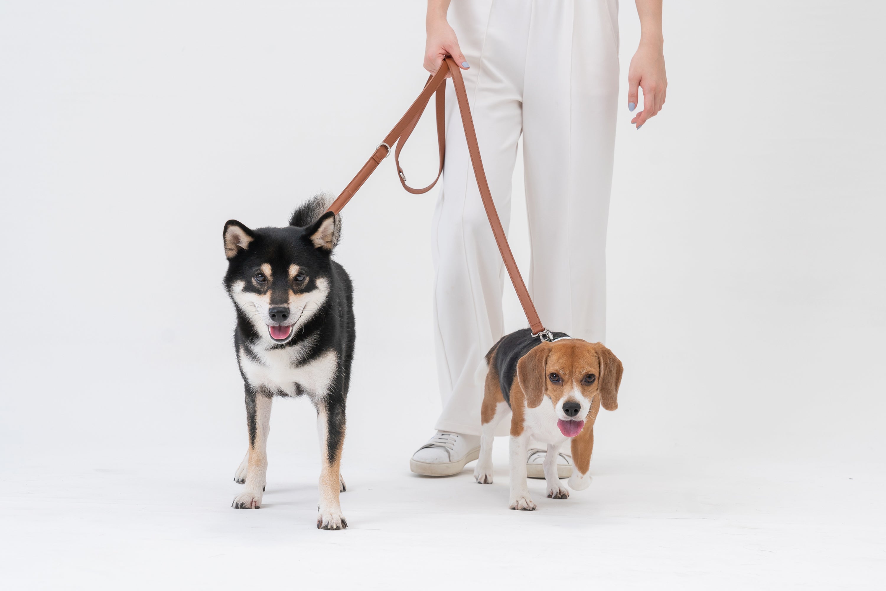 HART MULTI-FUNCTION LEASH - DARK GREEN-thumbmail-8