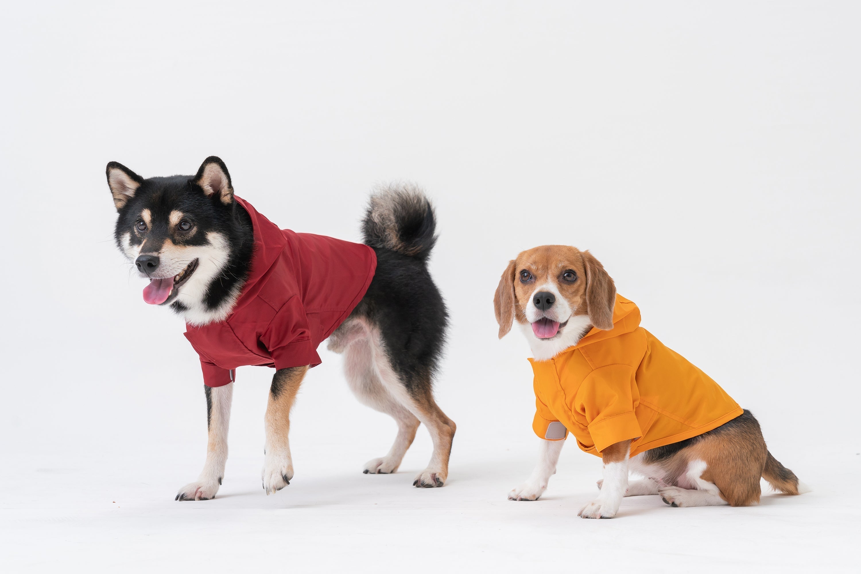 Tribeca Adjustable Velcro Raincoat -  Burgundy-thumbmail-7
