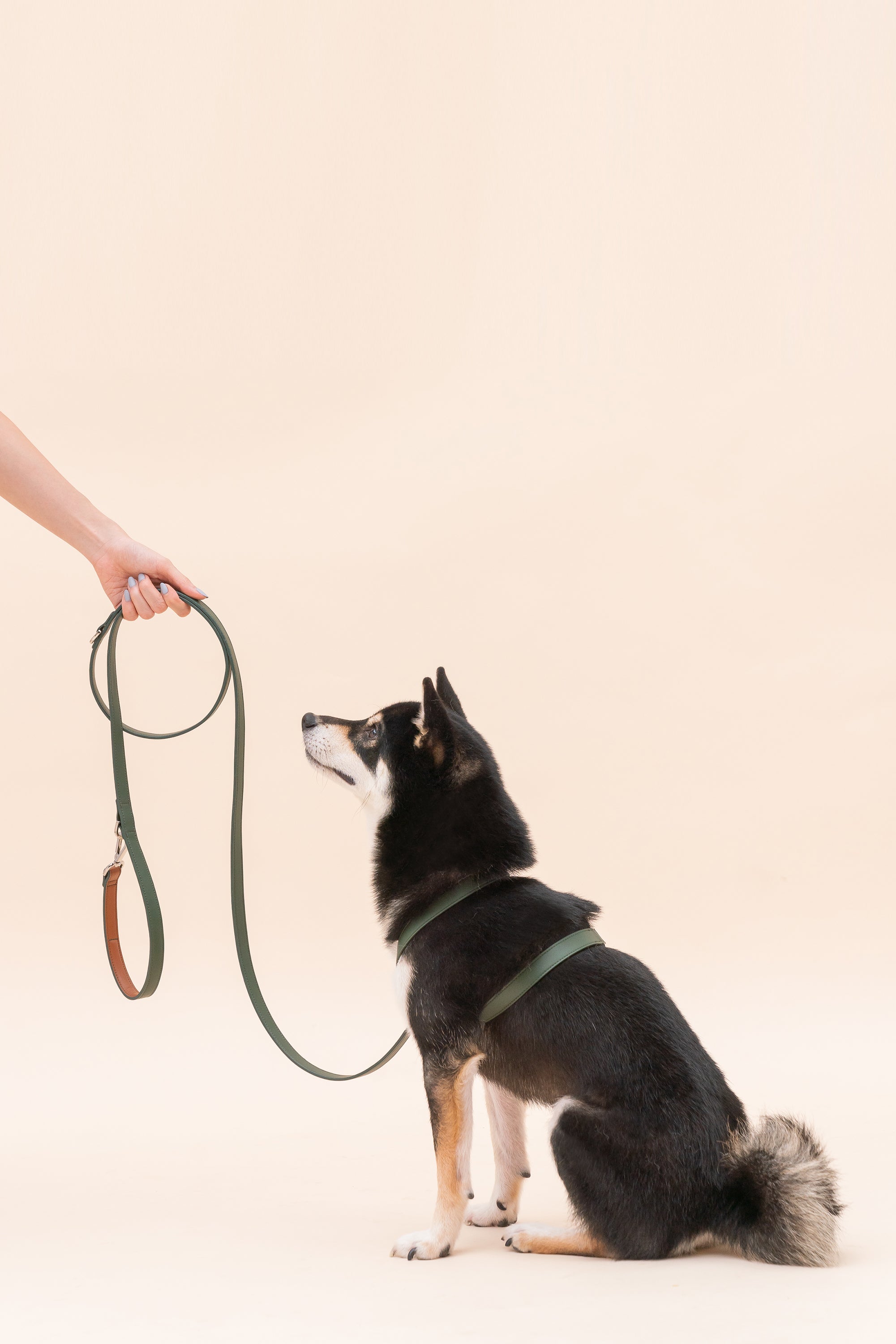 HART MULTI-FUNCTION LEASH - NAVY BLUE-thumbmail-4