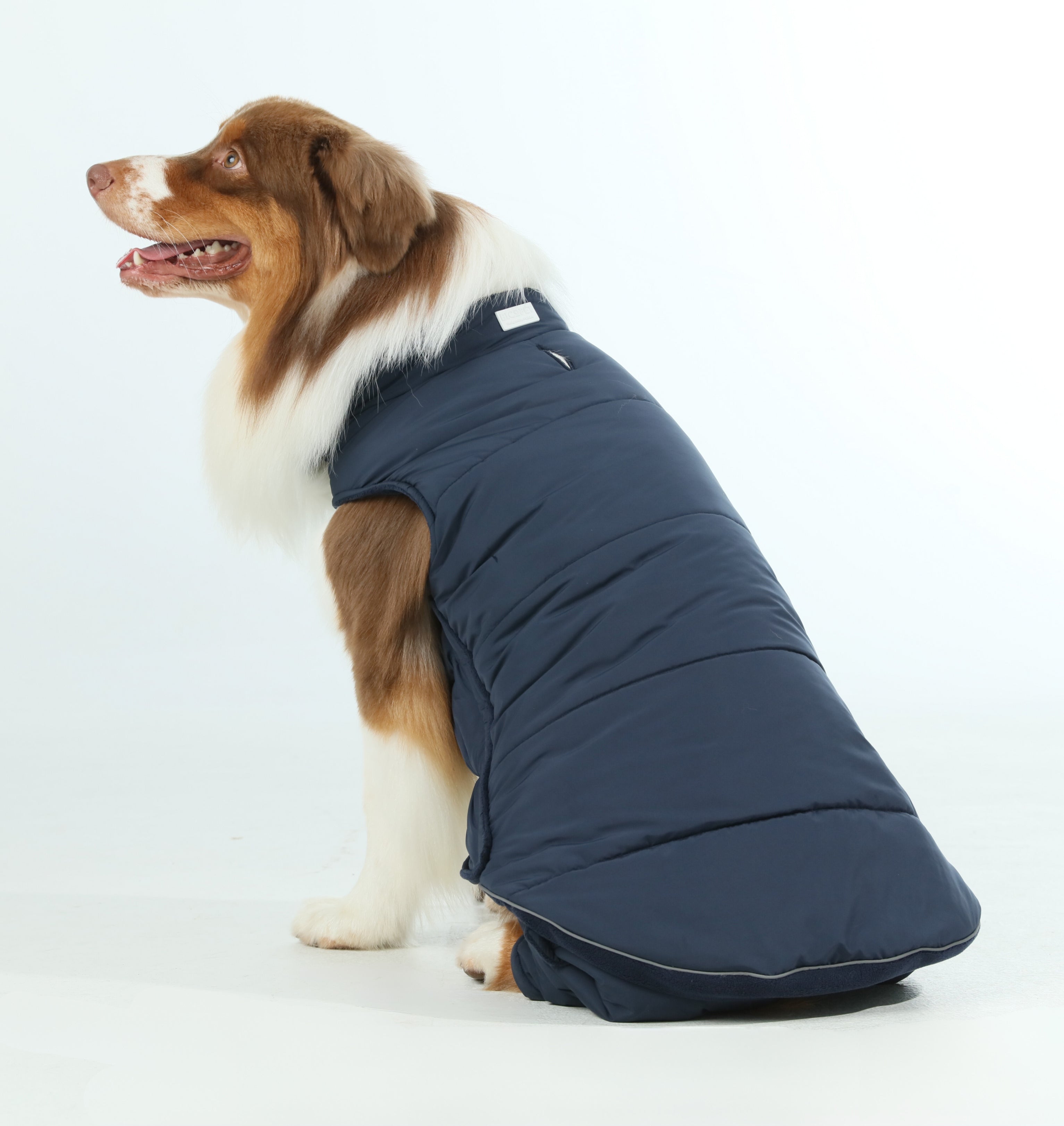 Reversible Dog Vest Jacket - Blue-thumbmail-9