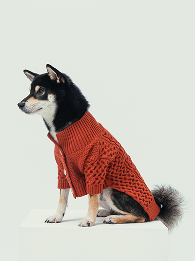 BERT CARDIGAN SWEATER - ORANGE-thumbmail-7