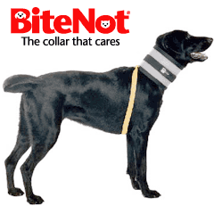 BN7 - Bite Not Collar (71-100lbs.)-thumbmail-1