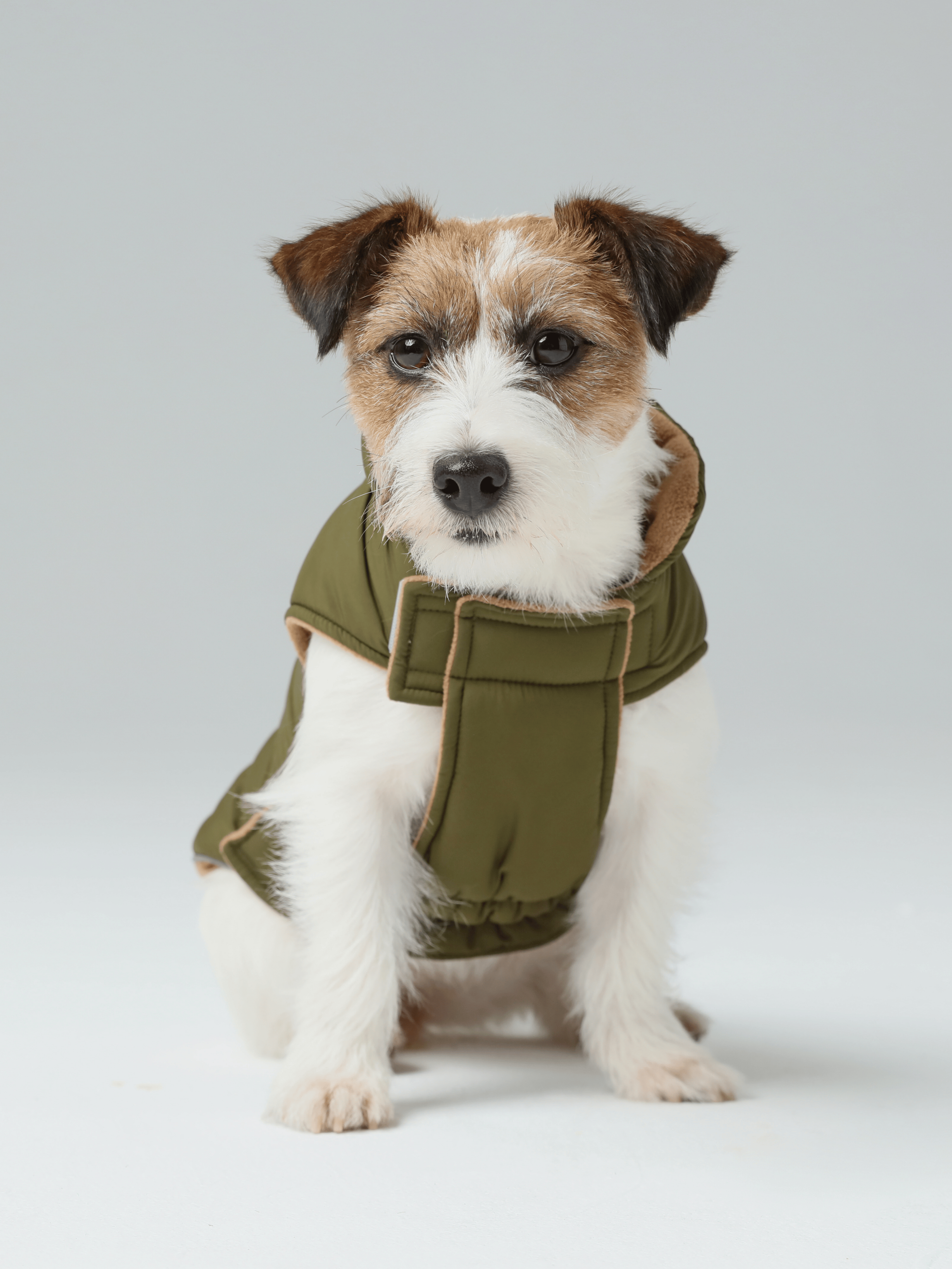 Reversible Dog Vest Jacket - Green Brown-thumbmail-10