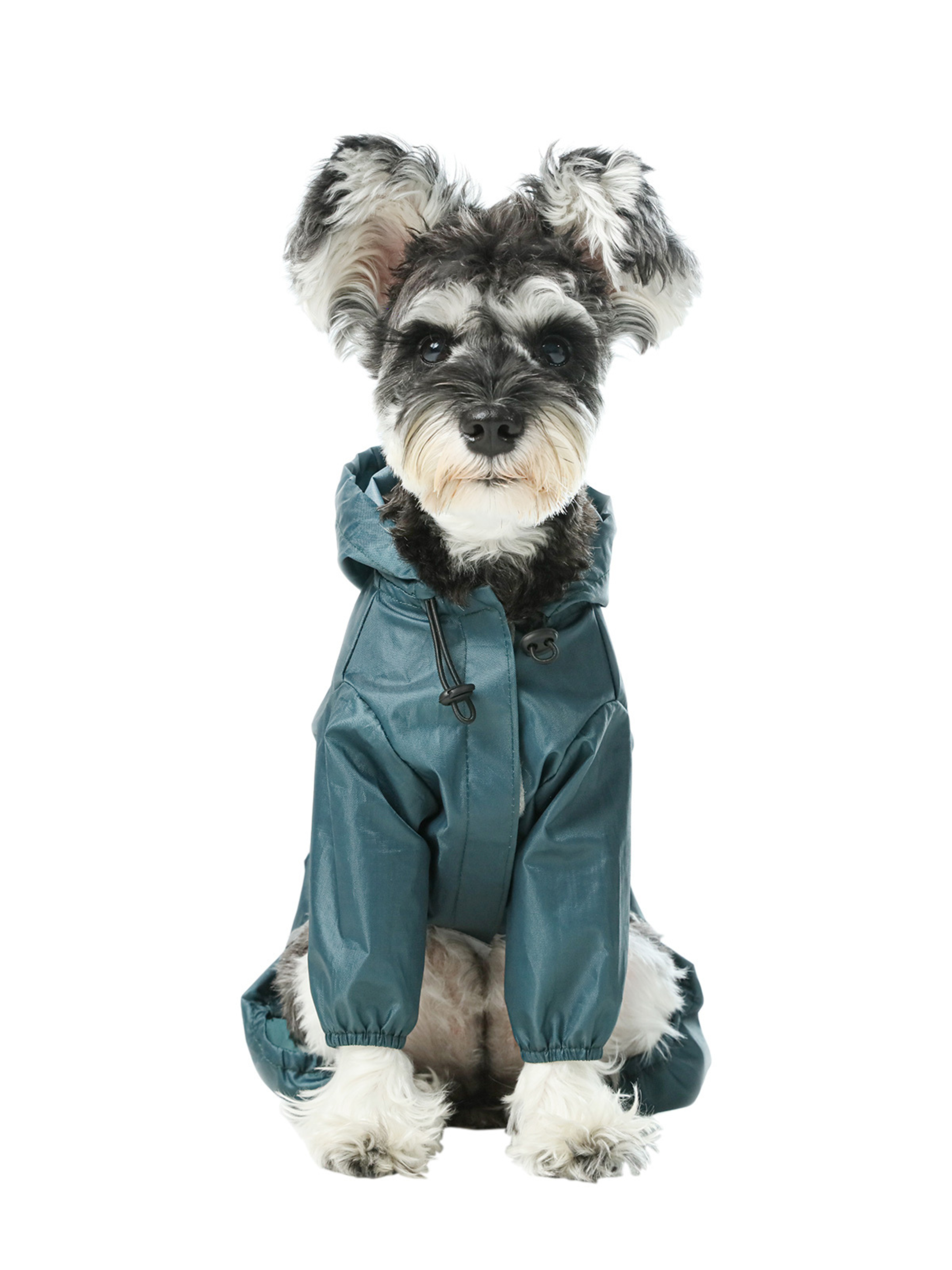 Ultralight Full Covered Hooded Waterproof Dog Jacket - Blue-thumbmail-4