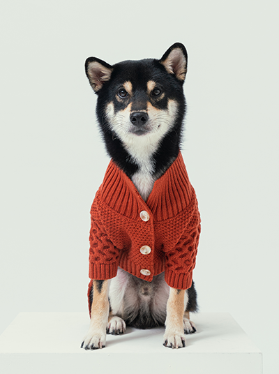 BERT CARDIGAN SWEATER - ORANGE-thumbmail-1