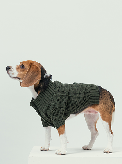 BERT CARDIGAN SWEATER - DARK GREEN-thumbmail-7