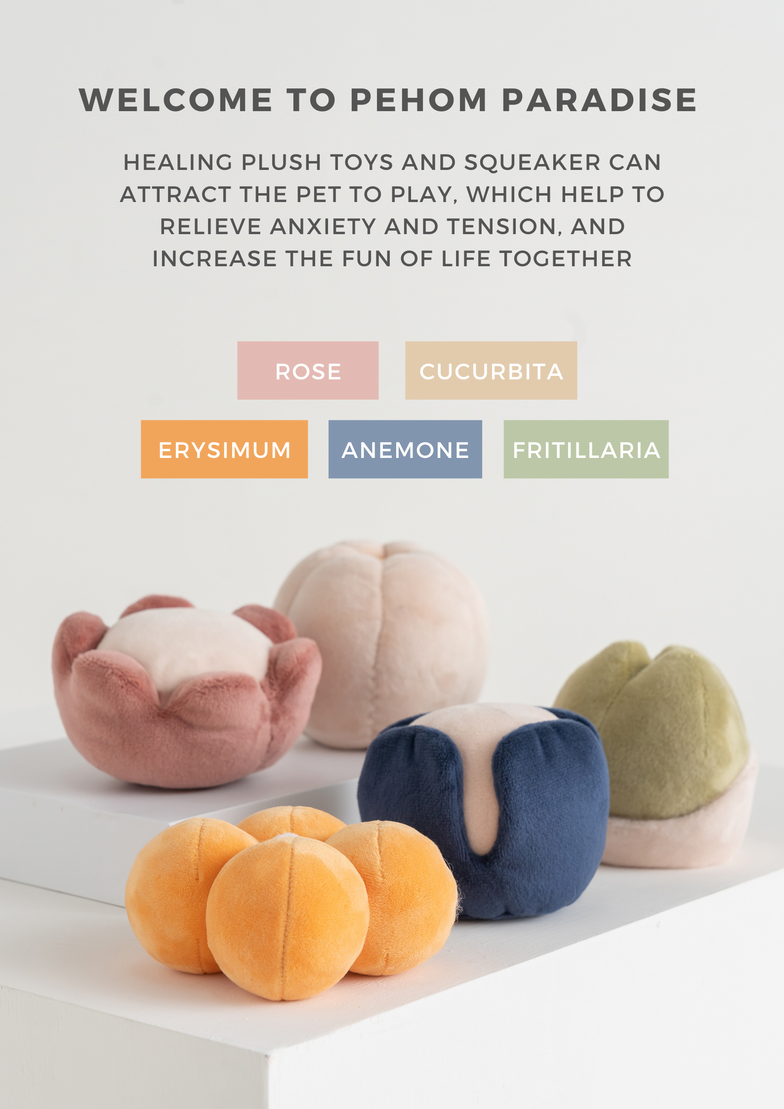 PARADISE PET TOY- Erysimum-thumbmail-1