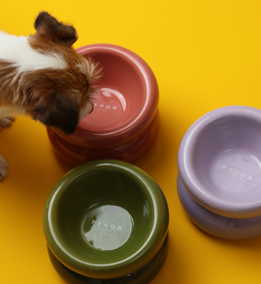 Soufflé Pet Bowl - Purple-thumbmail-3