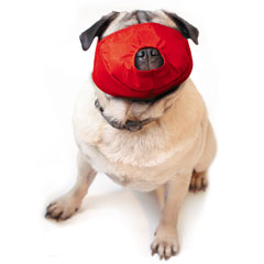 Pug Snout Quick Muzzle Small-Large-thumbmail-3