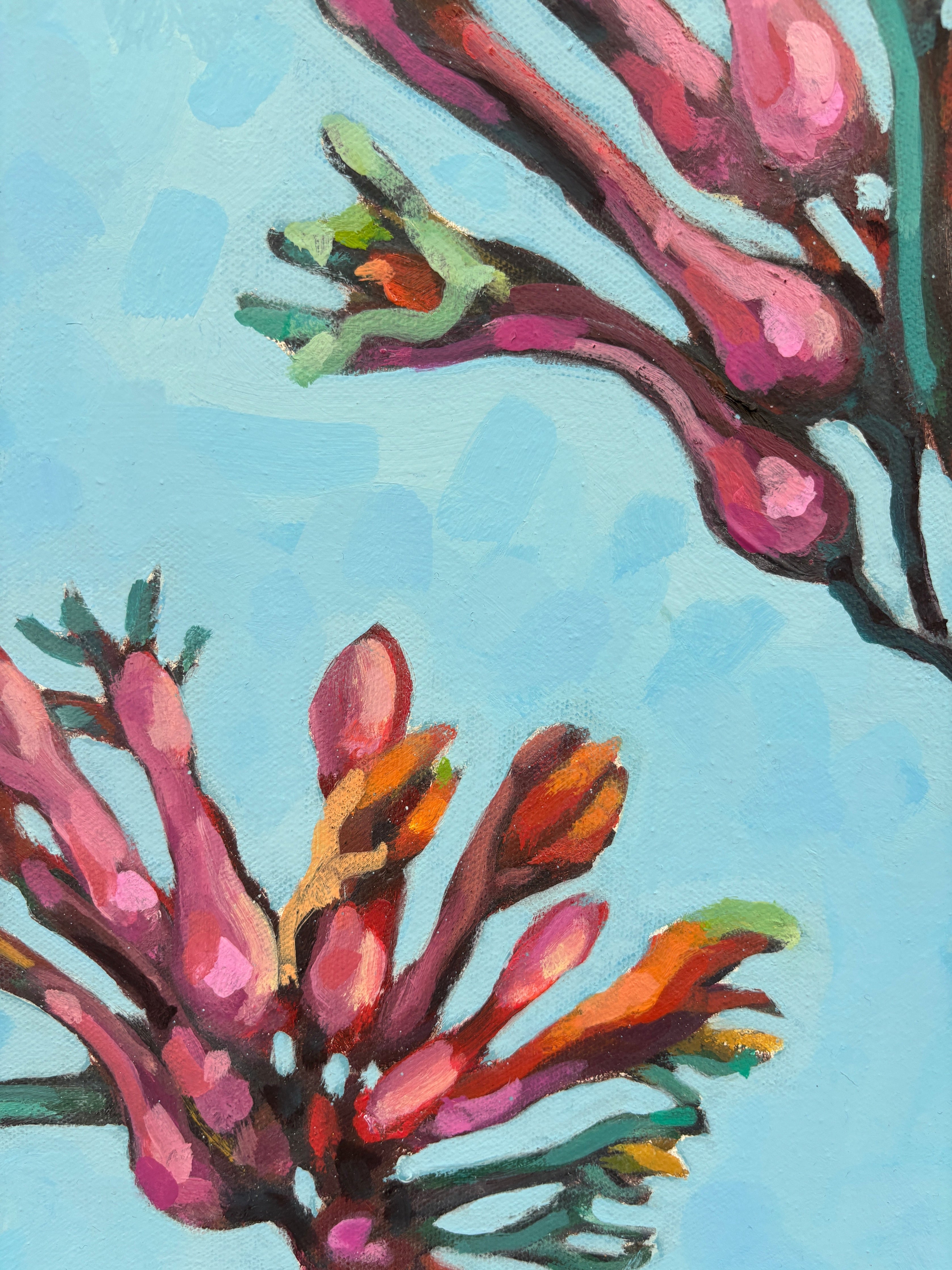 Bluebird Paws-thumbmail-2