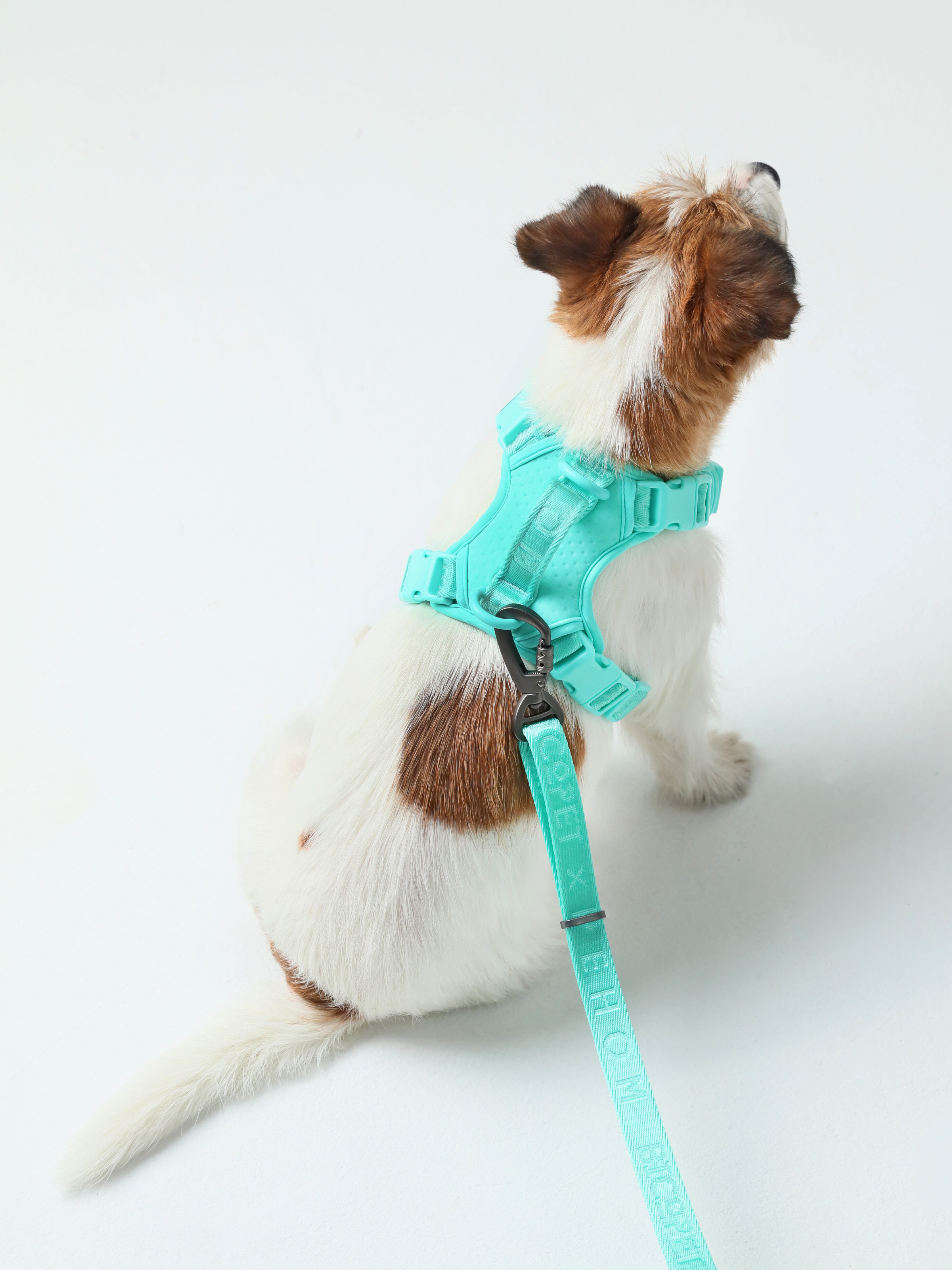 NO PULL ACTIVE  PET HARNESS - MINT GREEN-thumbmail-1