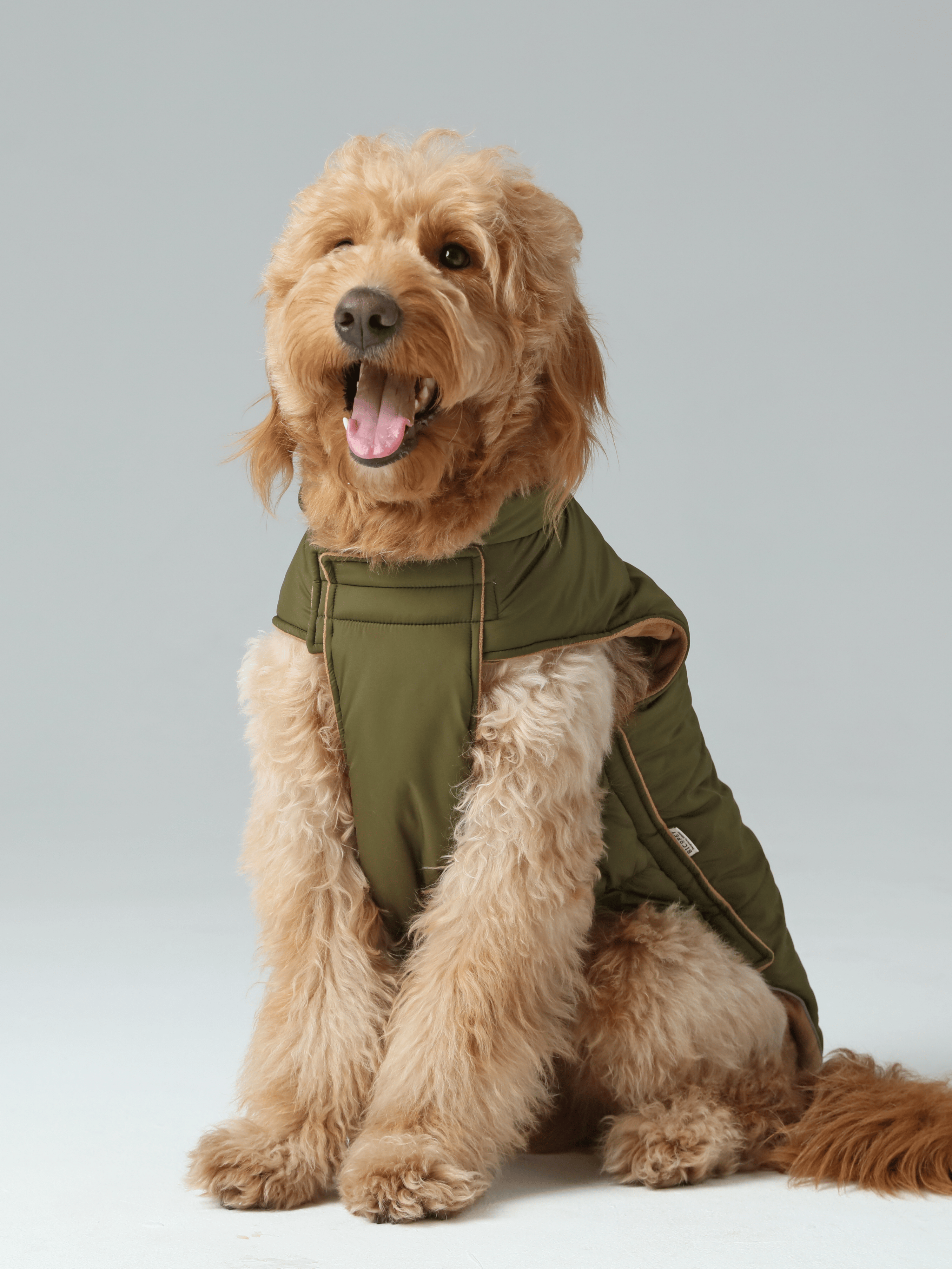 Reversible Dog Vest Jacket - Green Brown-thumbmail-8