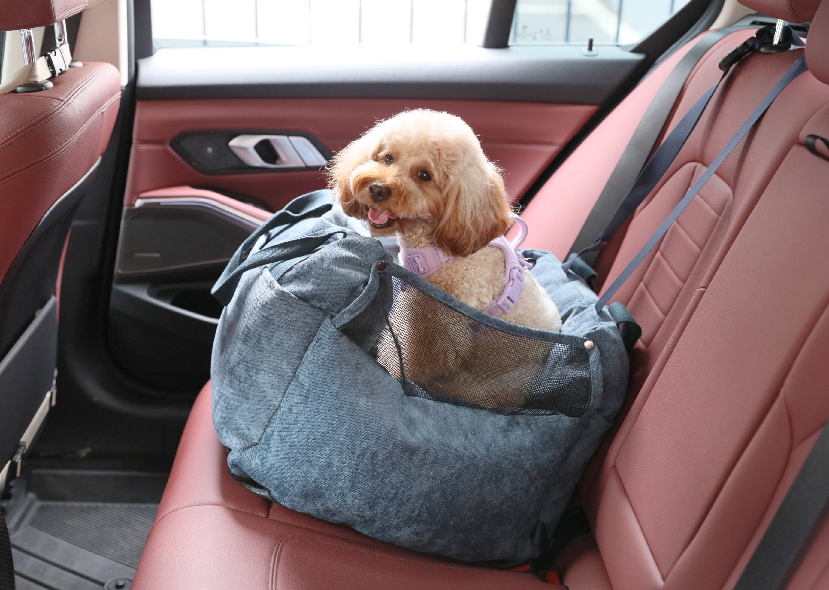 Puff Guard Dog Car Seat - Blue-thumbmail-5