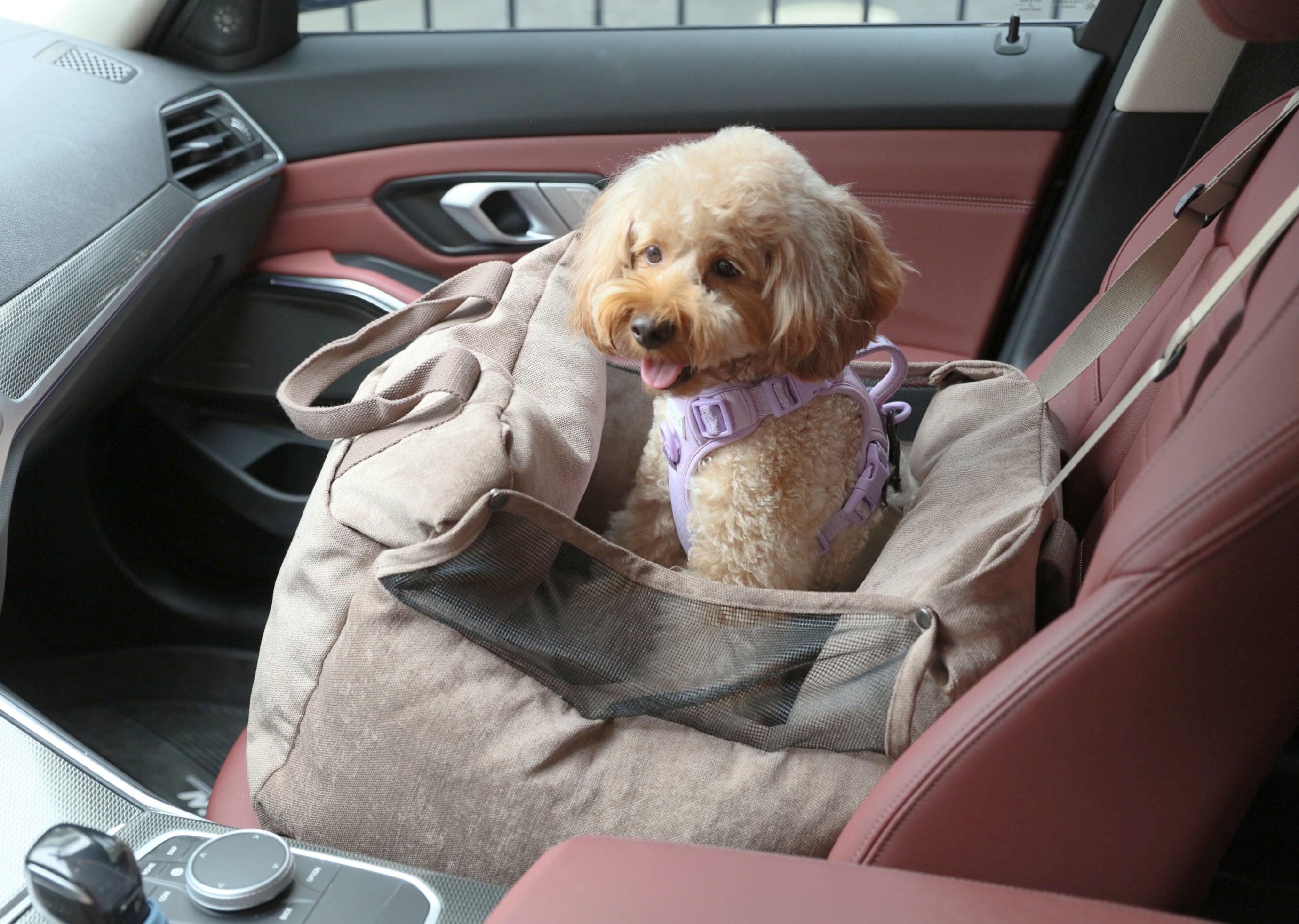 Puff Guard Dog Car Seat - Camel-thumbmail-2