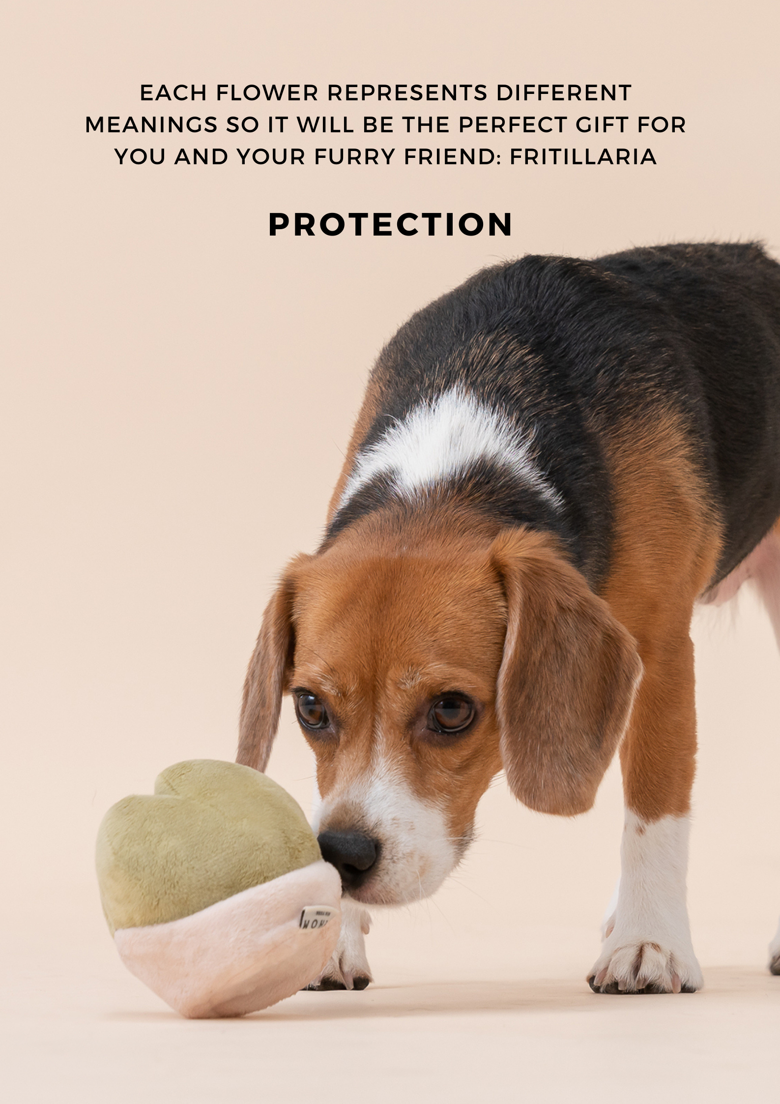 PARADISE PET TOY- Fritillaria-thumbmail-6