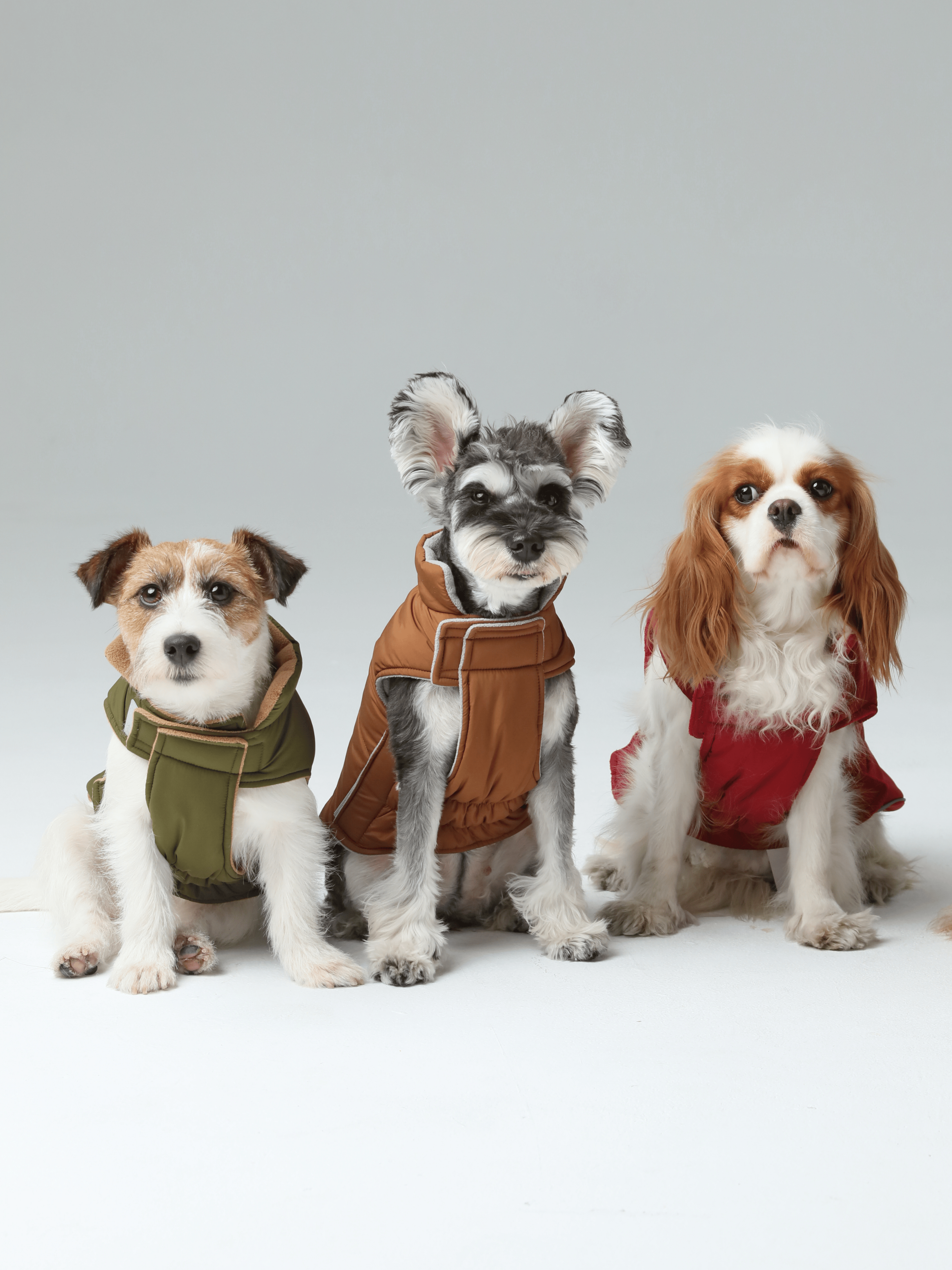 Reversible Dog Vest Jacket - Orange Grey-thumbmail-5