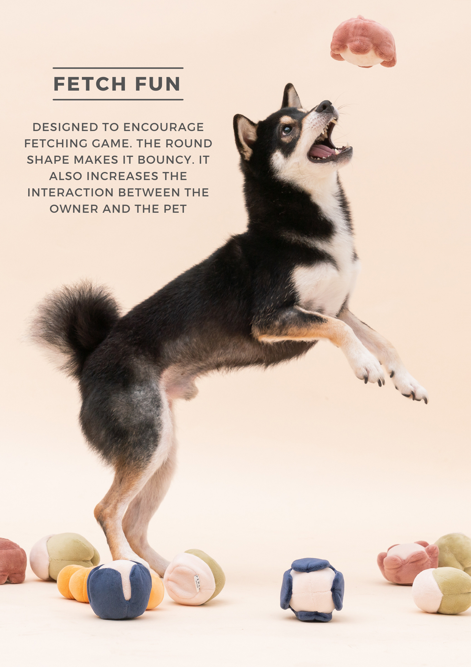 PARADISE PET TOY - CUCURBITA-thumbmail-8