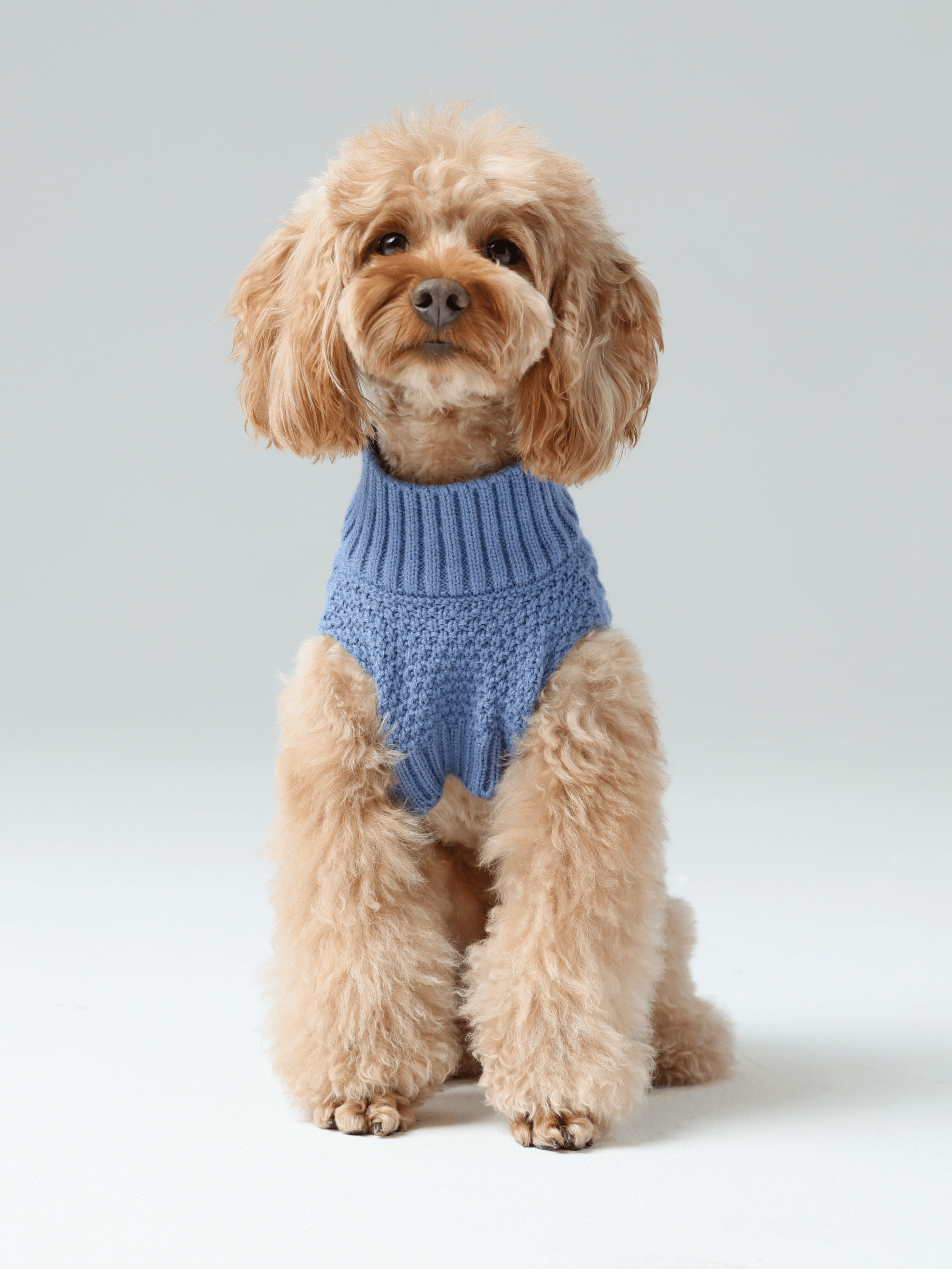 Pet Sweater Vest - Ice Blue-thumbmail-8