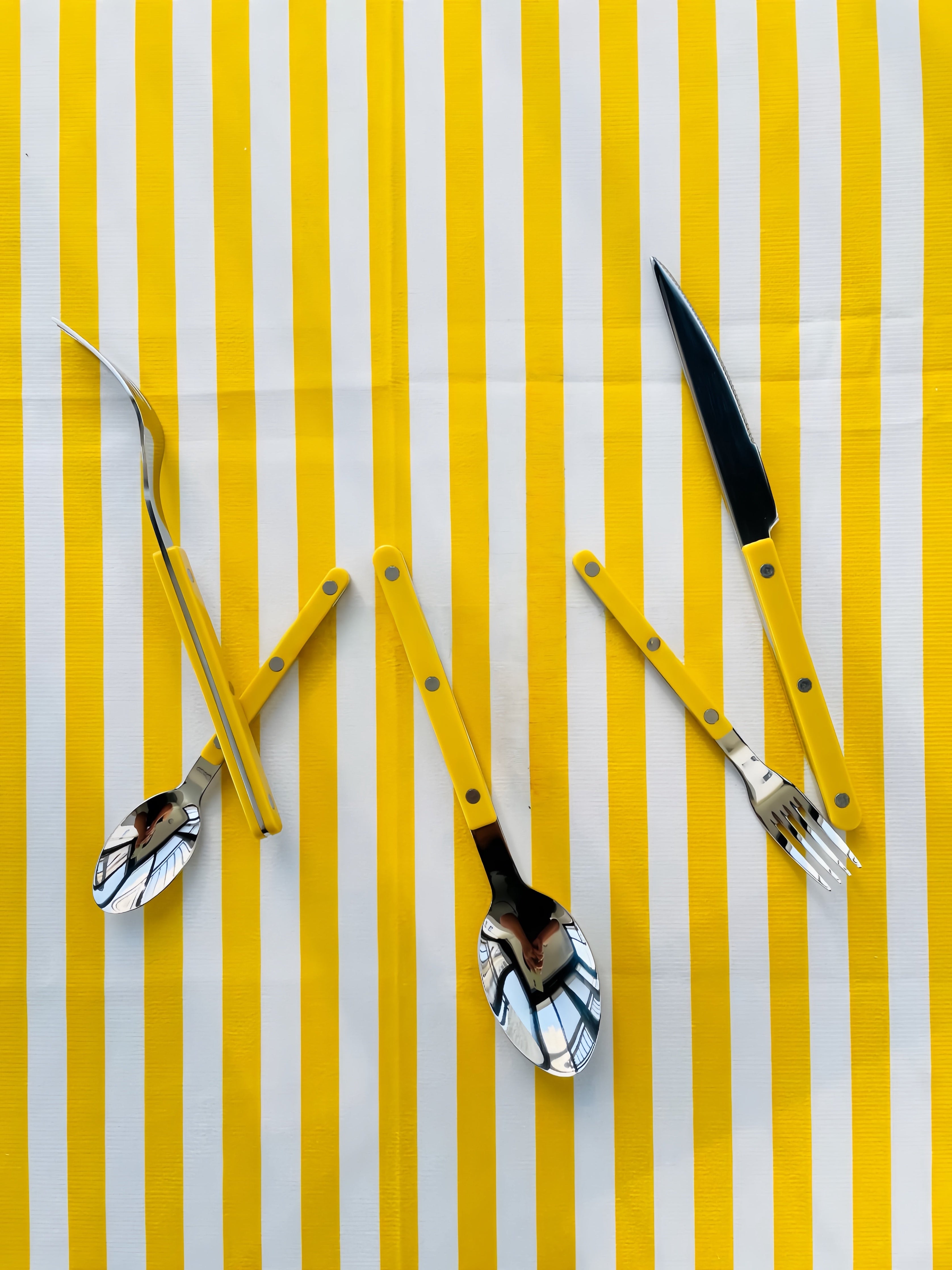 Set of 10 Dopamine Stainless Steel Rivet Flatware, Contemporary Bistrot Style Cutlery-thumbmail-3