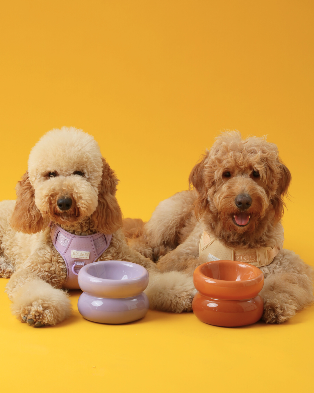 Soufflé Pet Bowl - Purple-thumbmail-9
