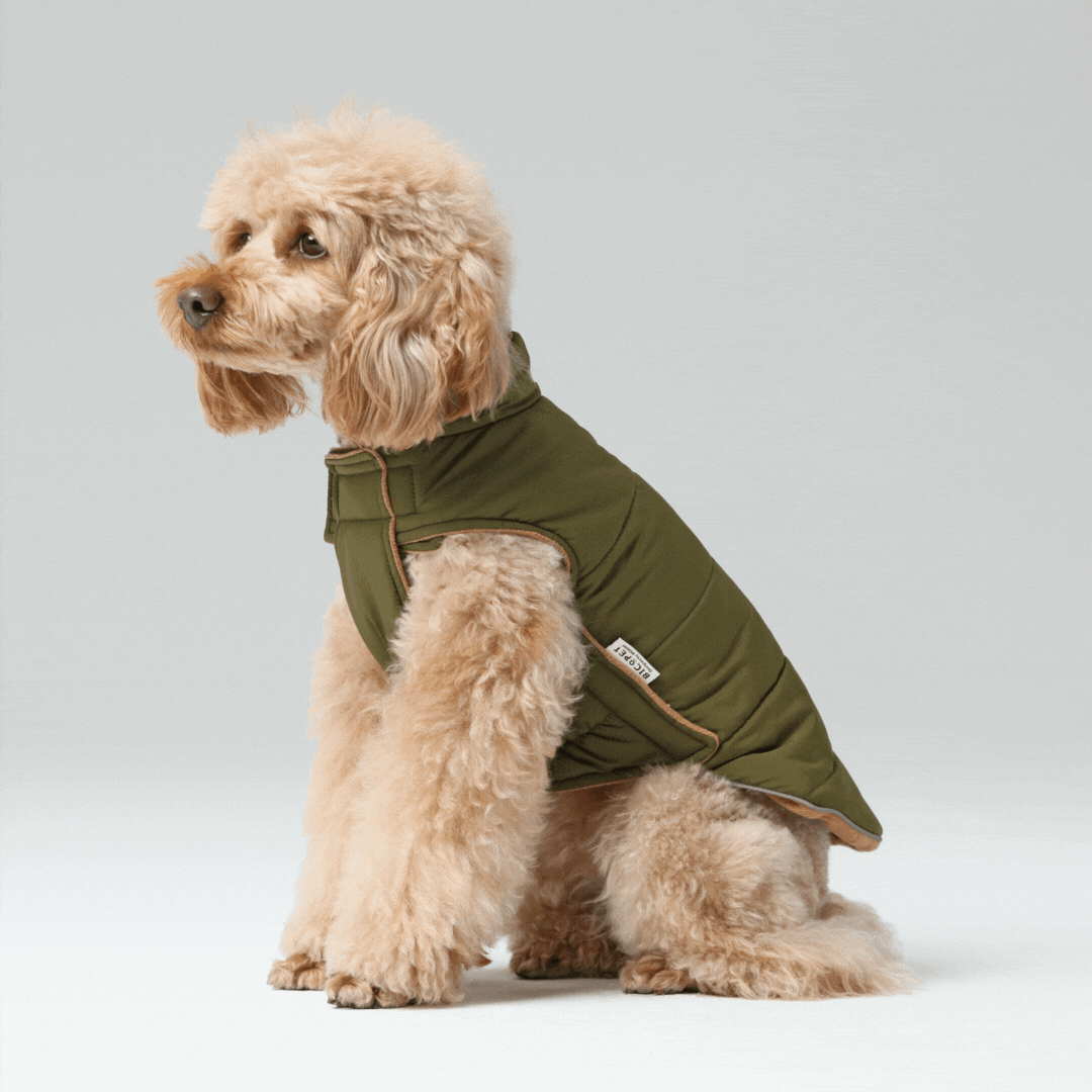 Reversible Dog Vest Jacket - Green Brown-thumbmail-9