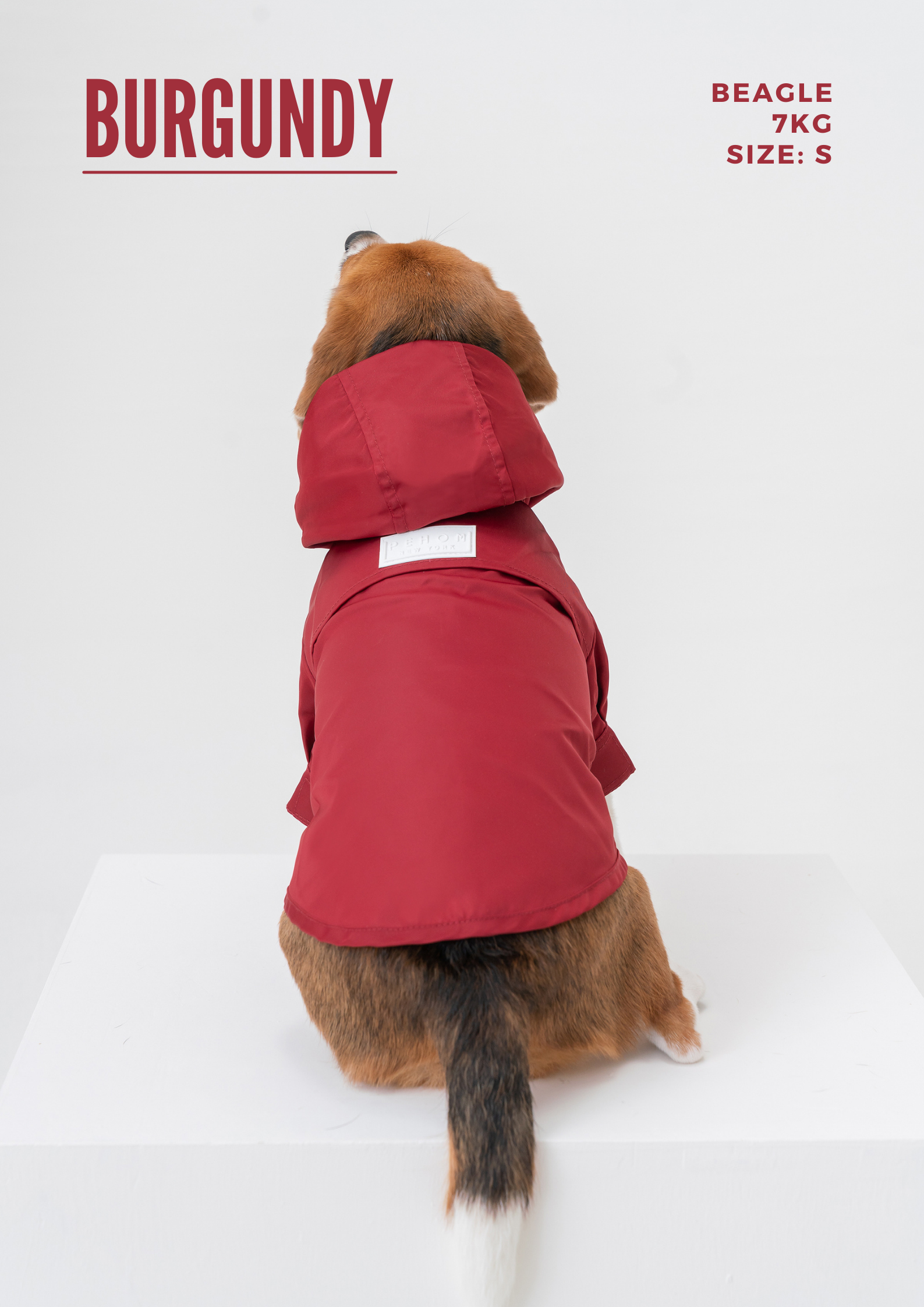 Tribeca Adjustable Velcro Raincoat - Egg Yolk-thumbmail-9