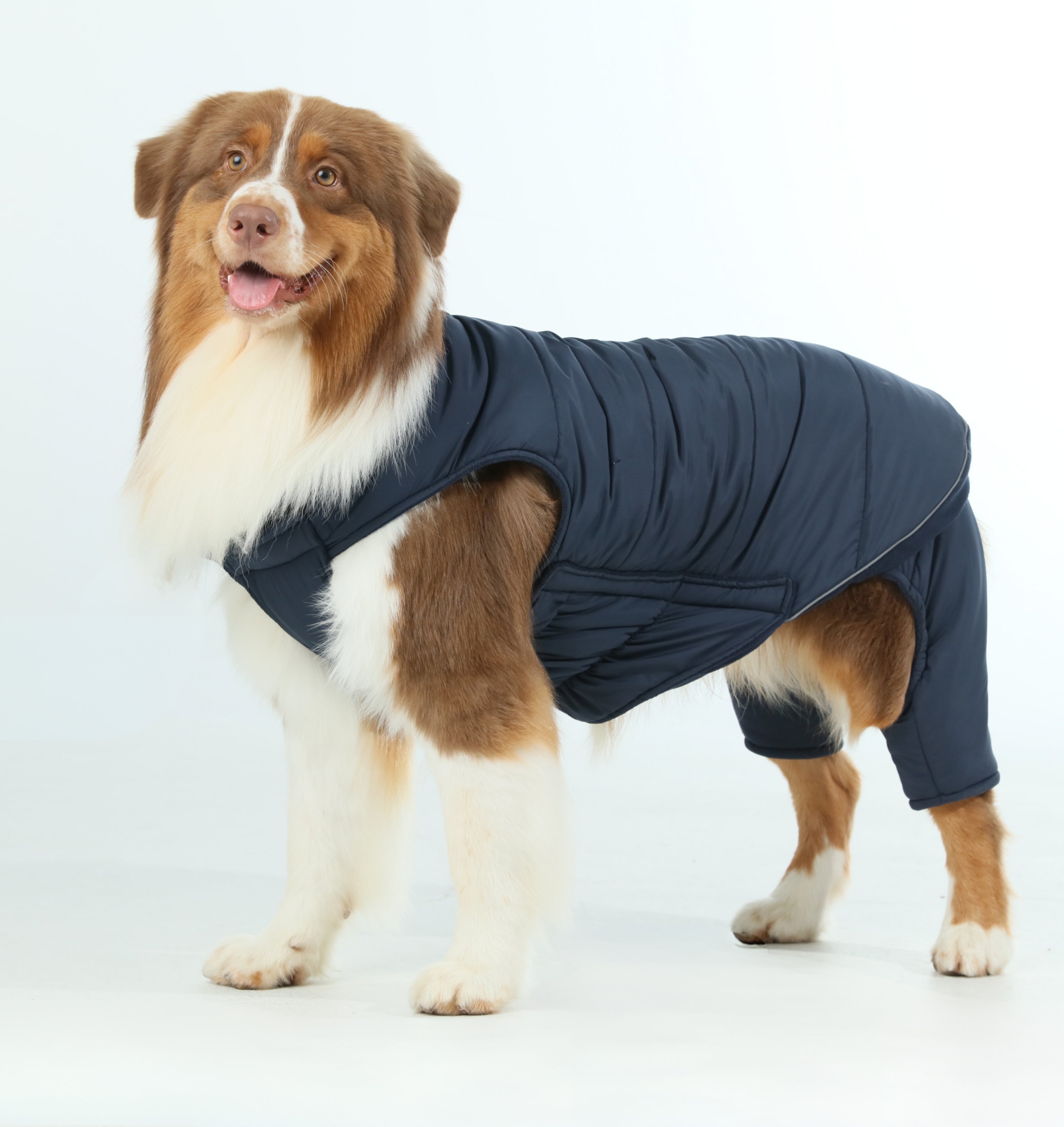 Reversible Dog Vest Jacket - Blue-thumbmail-8