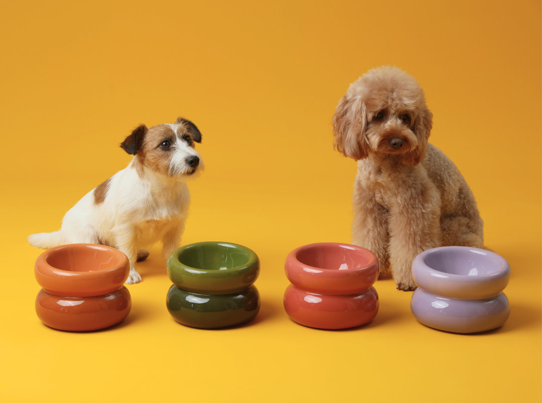 Soufflé Pet Bowl - Purple-thumbmail-4