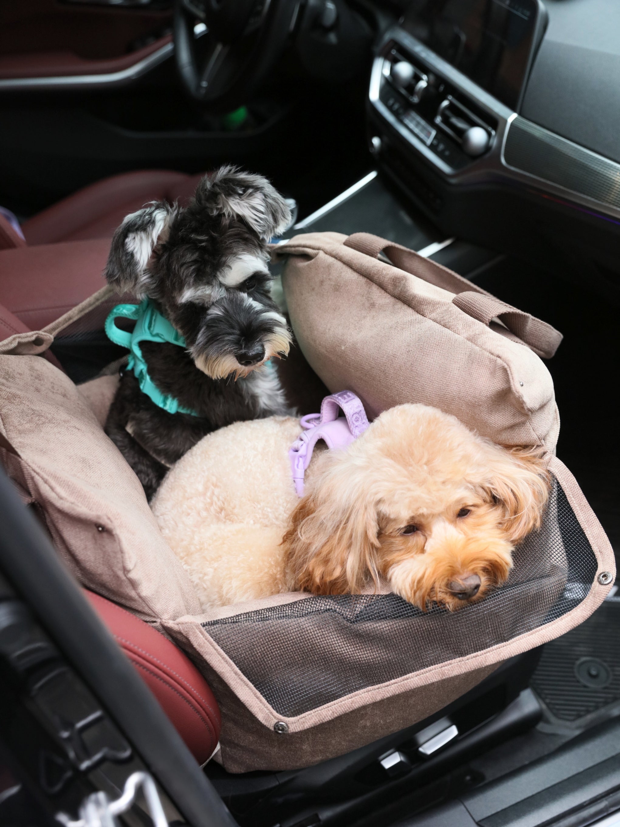 Puff Guard Dog Car Seat - Camel-thumbmail-4