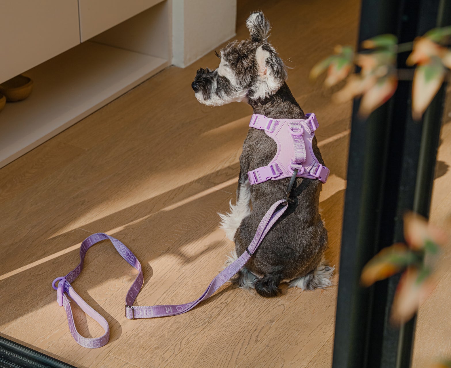 PADDED  ACTIVE  PET LEASH  - APRICOT-thumbmail-10