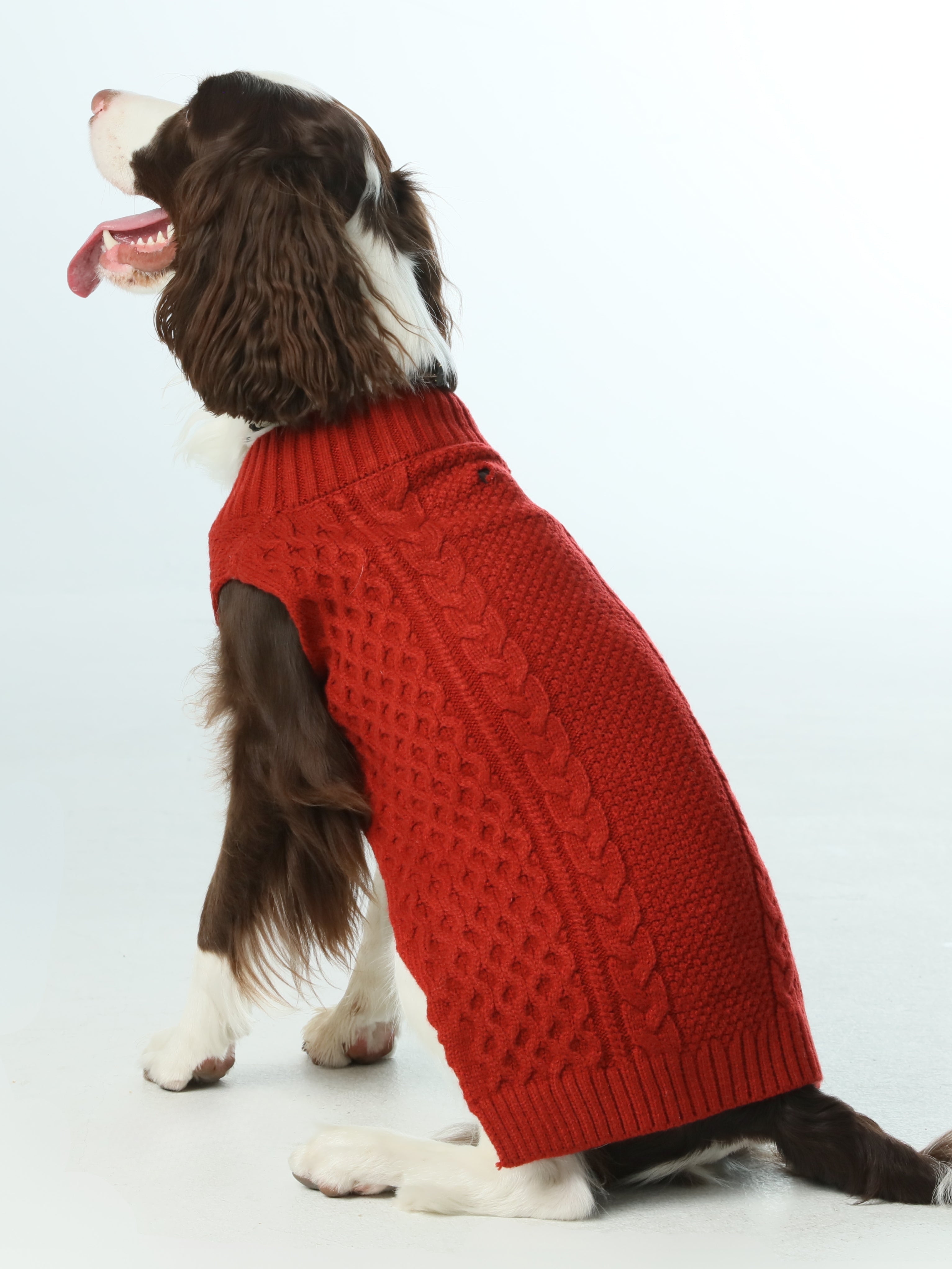 Pet Sweater Vest - Red-thumbmail-9