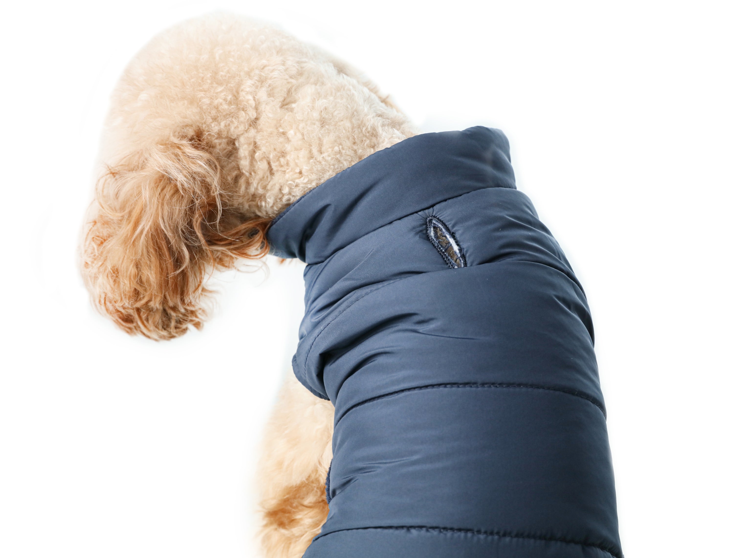 Reversible Dog Vest Jacket - Blue-thumbmail-2