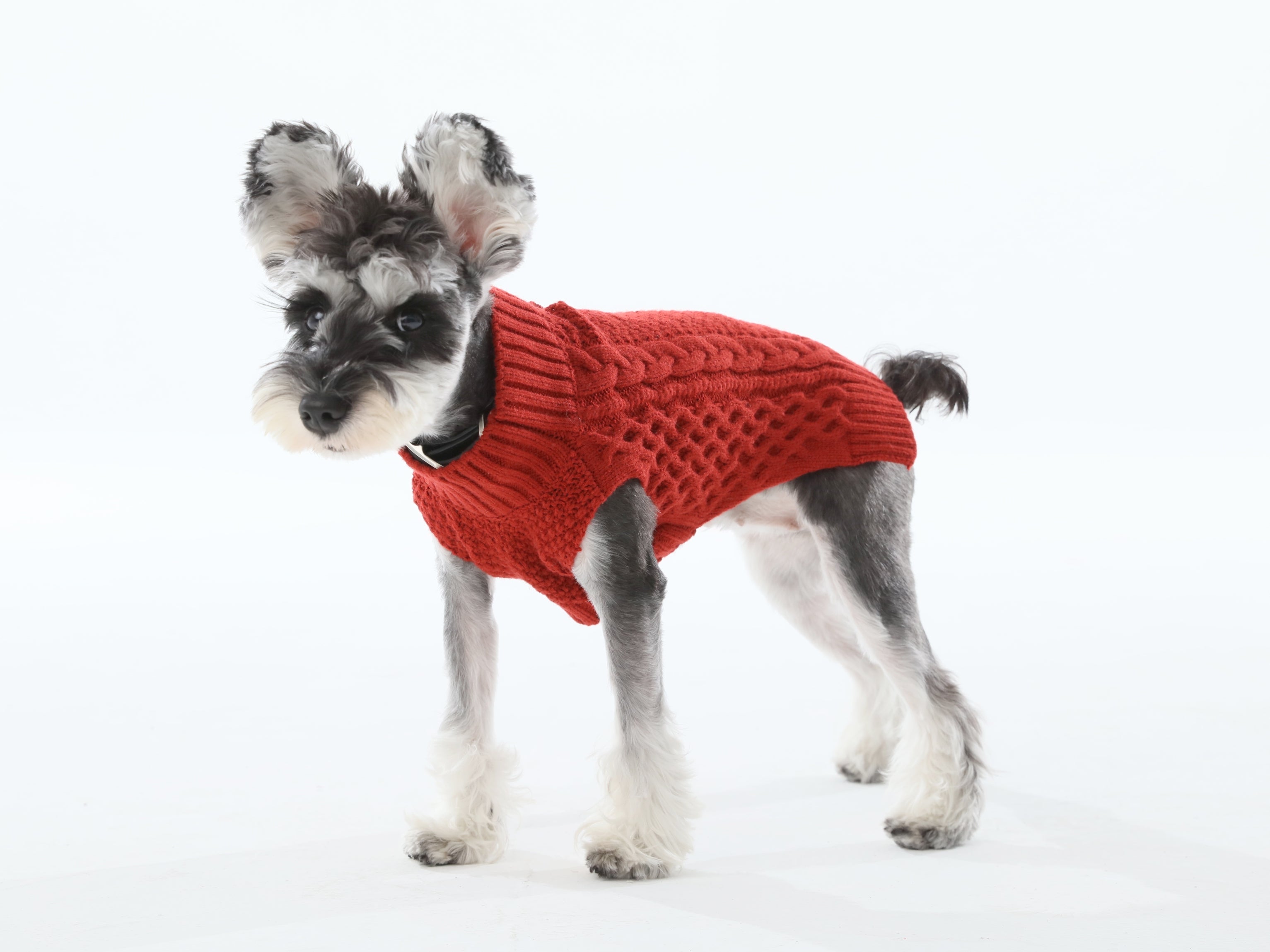 Pet Sweater Vest - Red-thumbmail-5