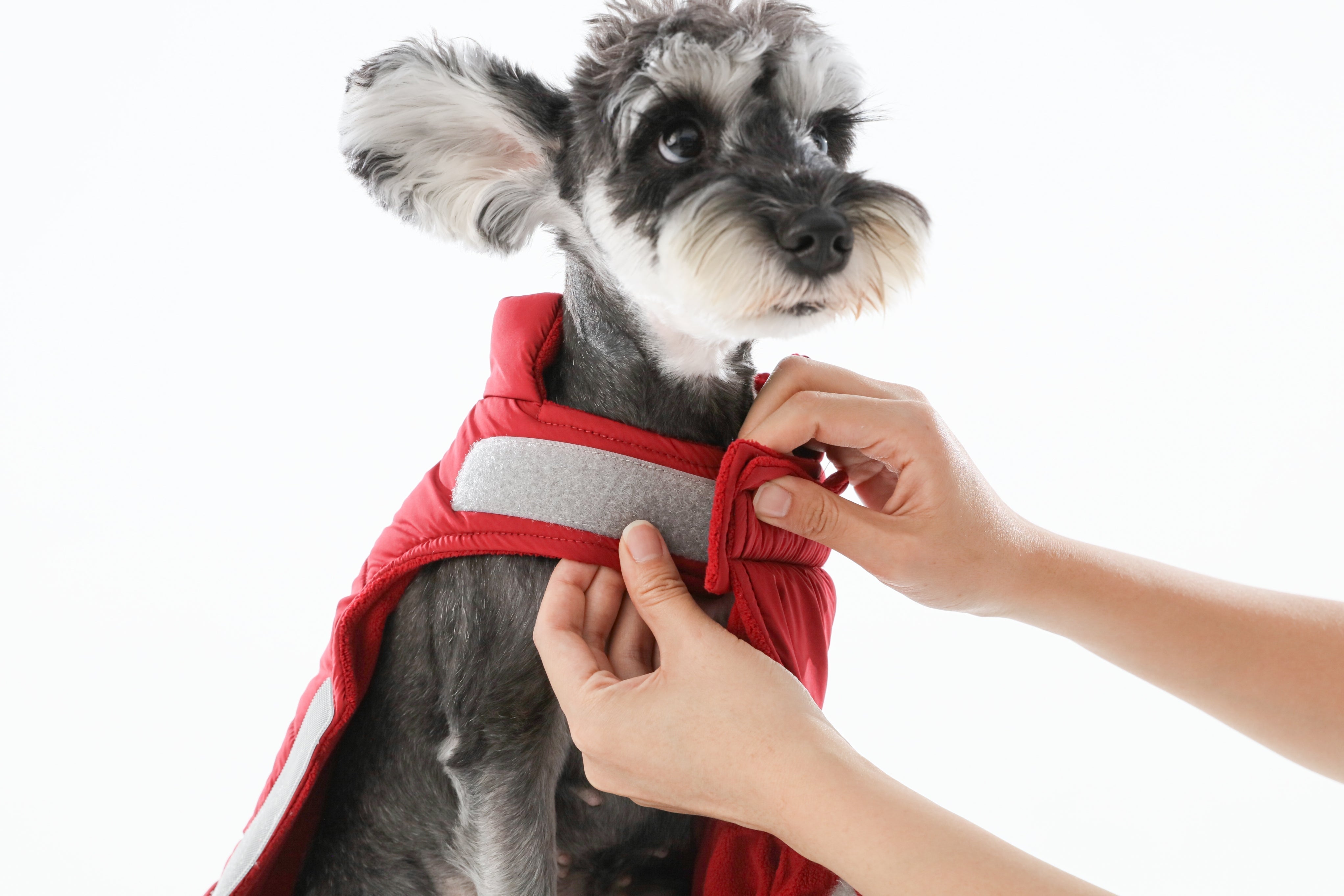 Reversible Dog Vest Jacket - Red-thumbmail-2