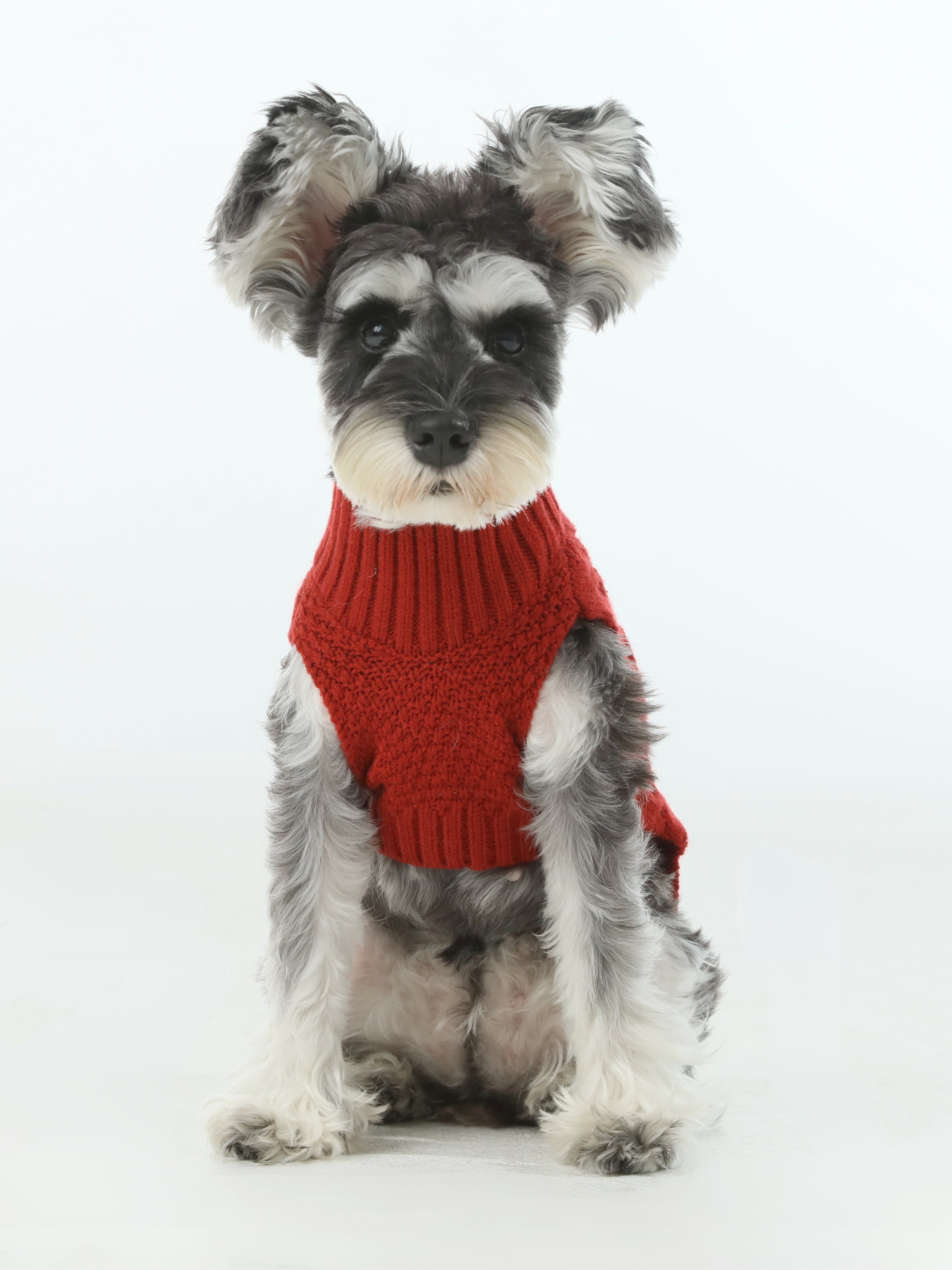 Pet Sweater Vest - Red-thumbmail-2