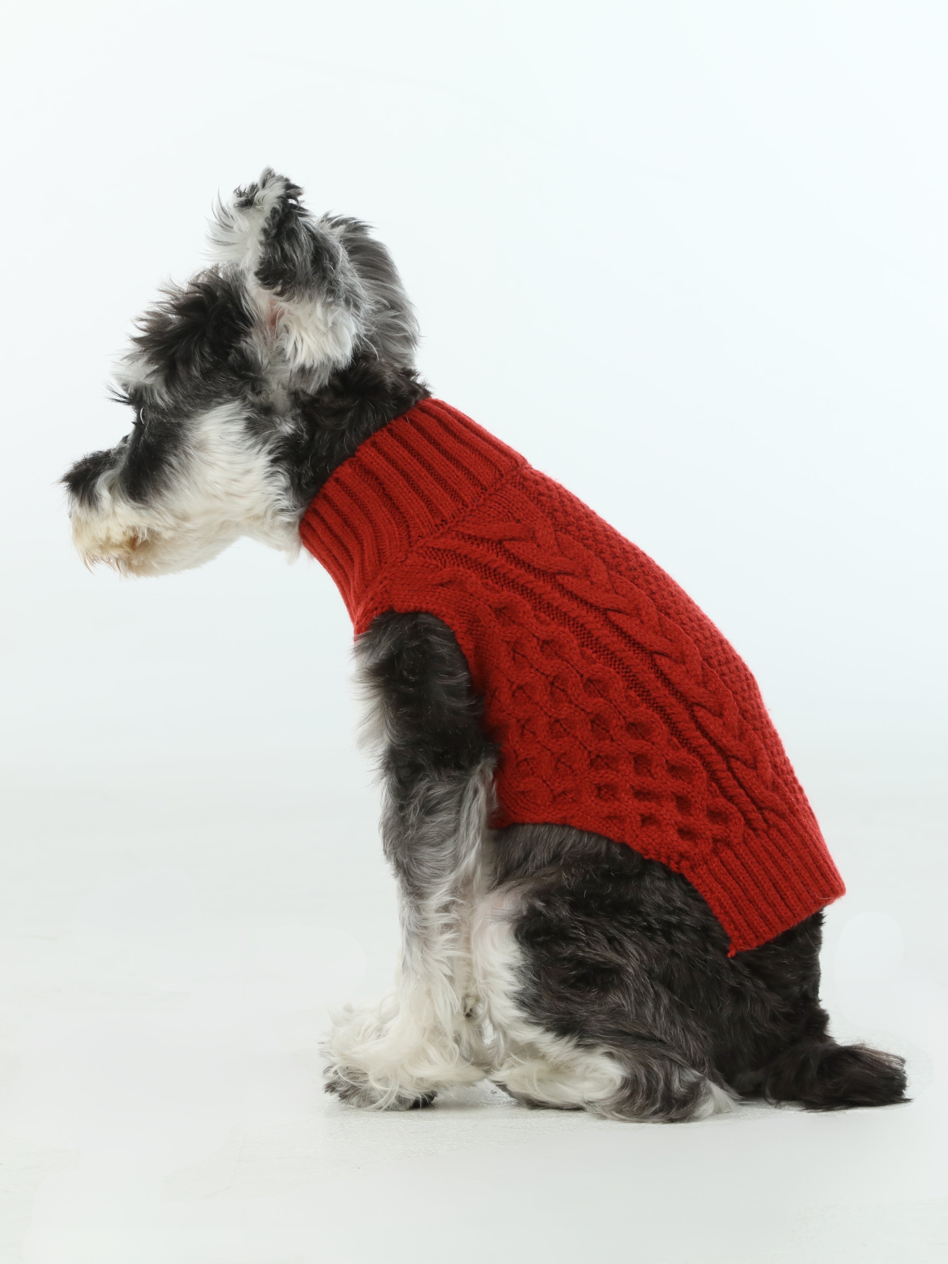 Pet Sweater Vest - Red-thumbmail-3