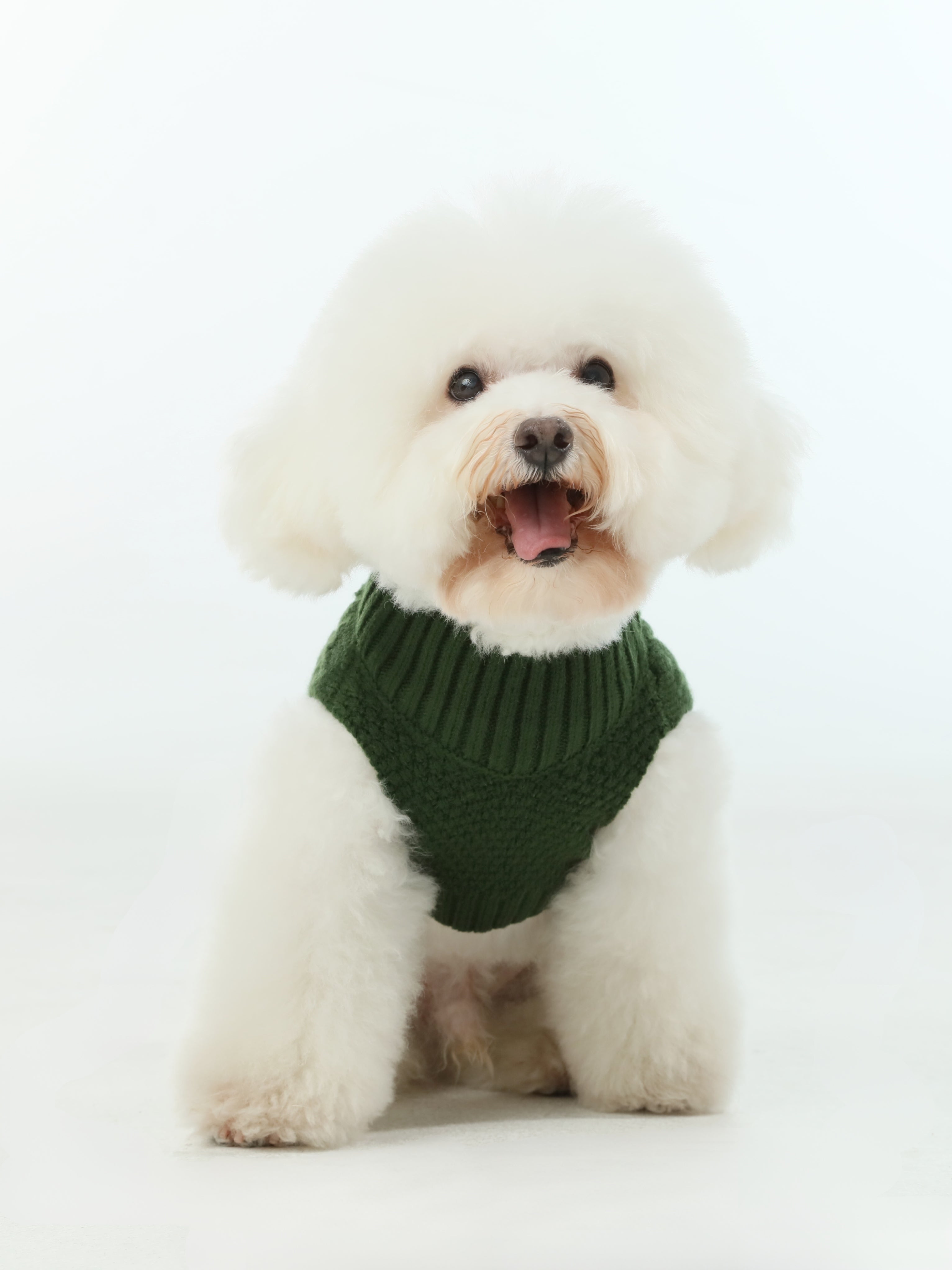 Pet Sweater Vest - Green-thumbmail-1