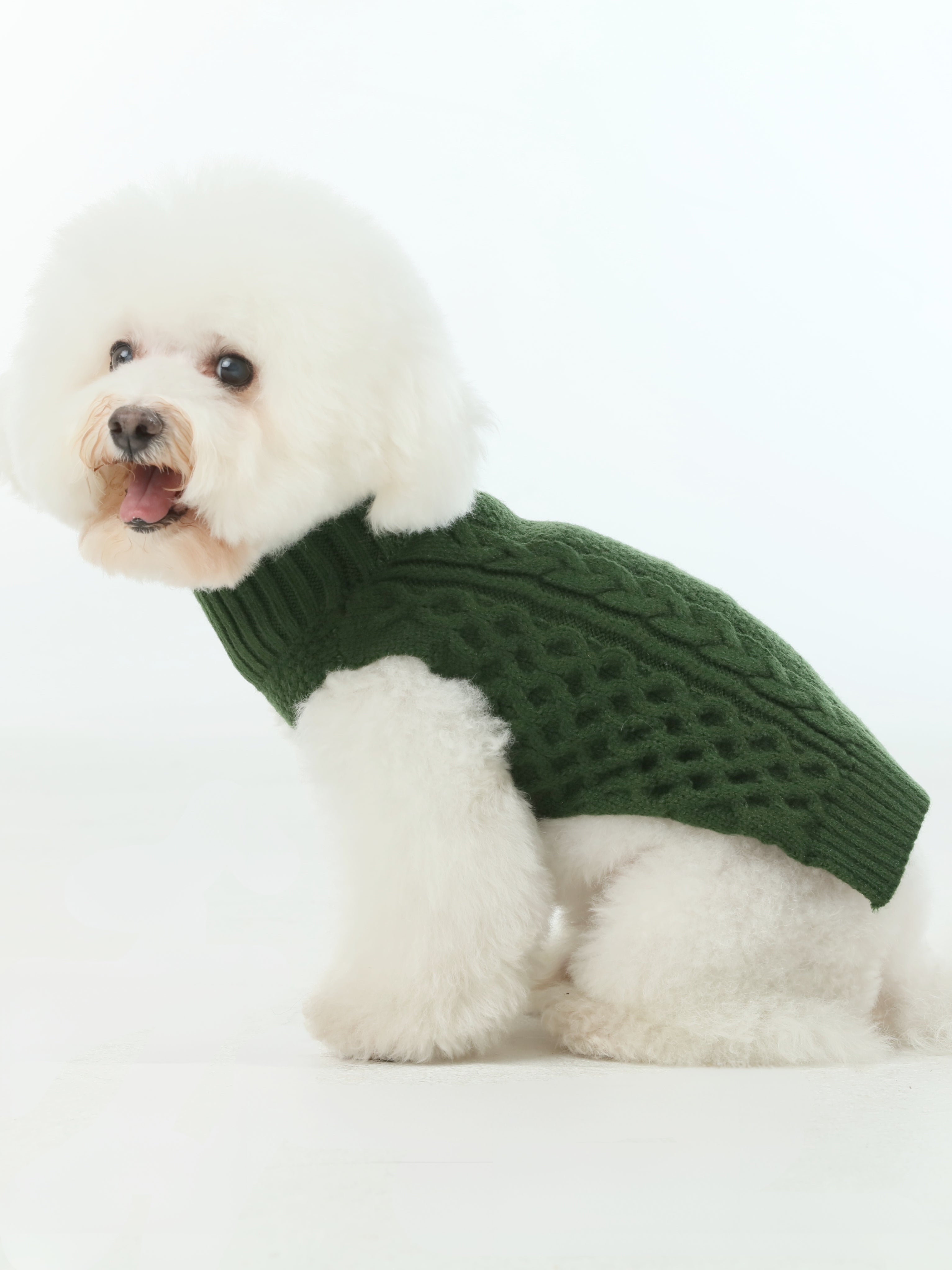Pet Sweater Vest - Green-thumbmail-2