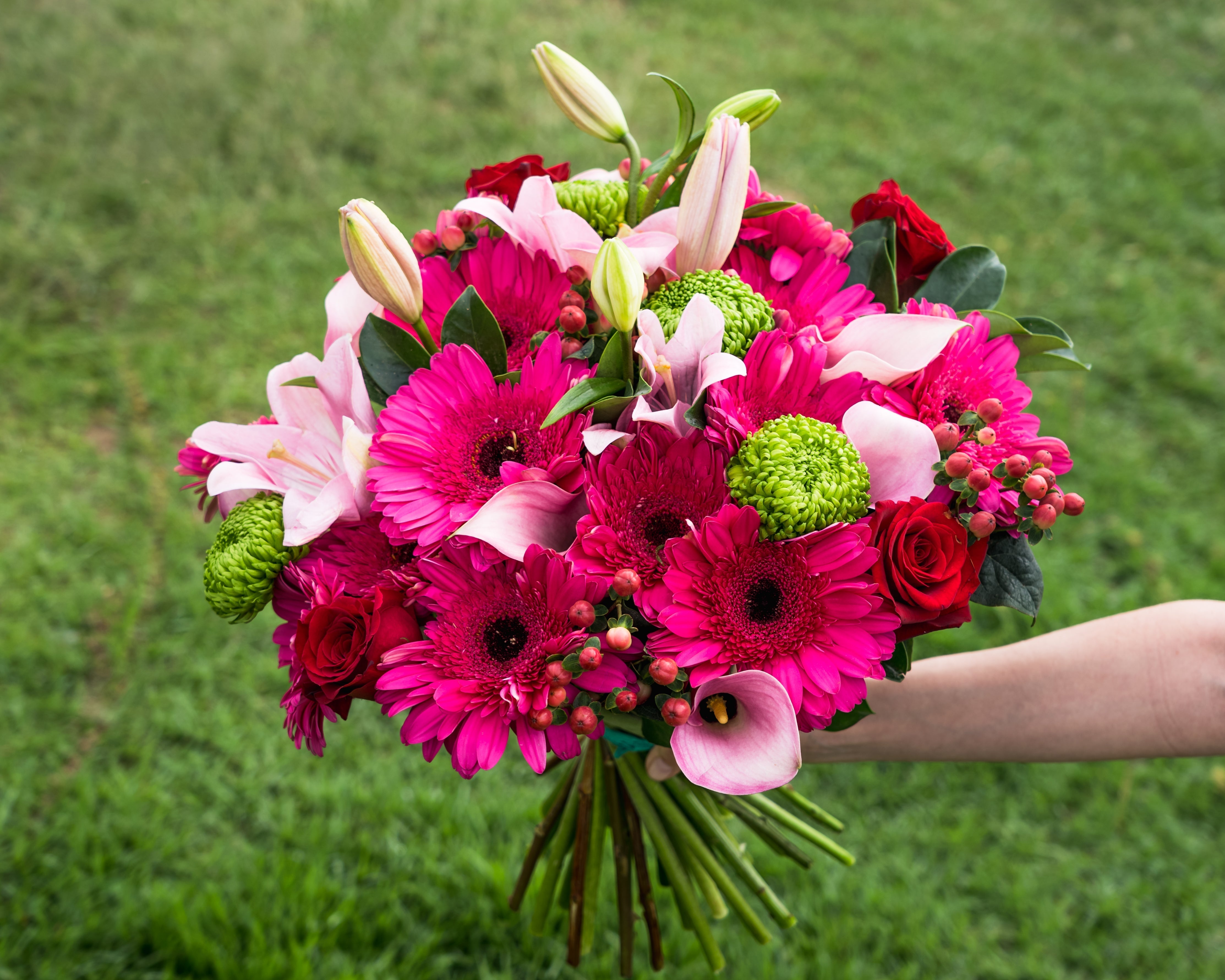 12 Month Premier Gift Subscription (Pre-Paid)