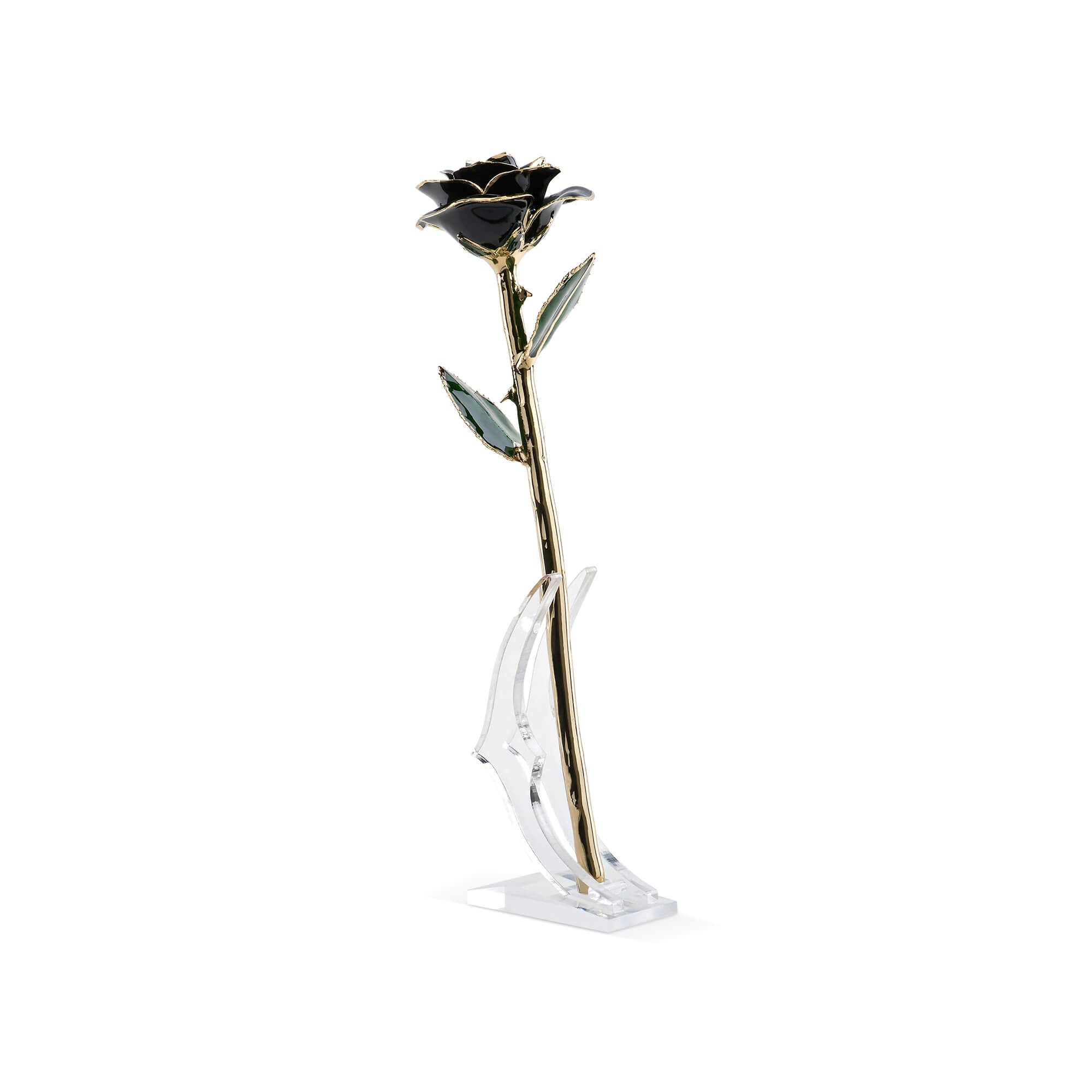 Timeless Rose (Black)-thumbmail-4