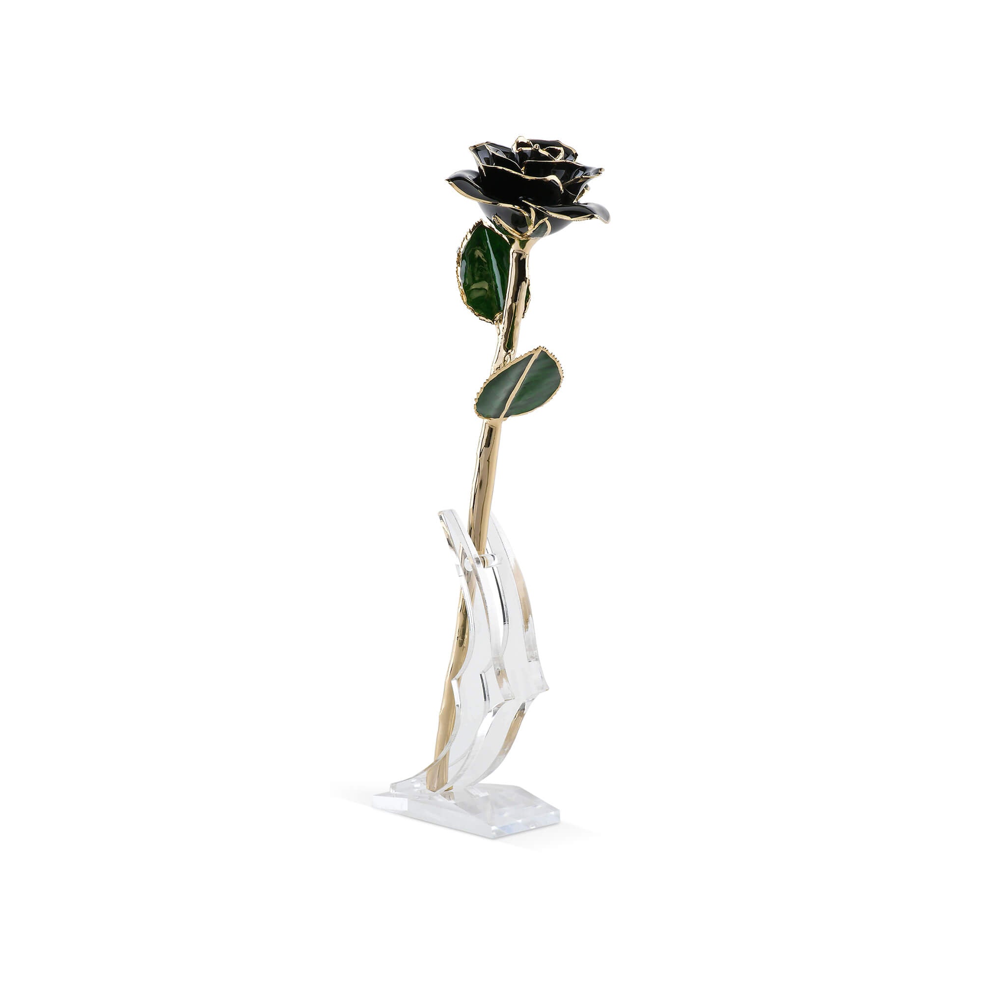 Timeless Rose (Black)-thumbmail-5