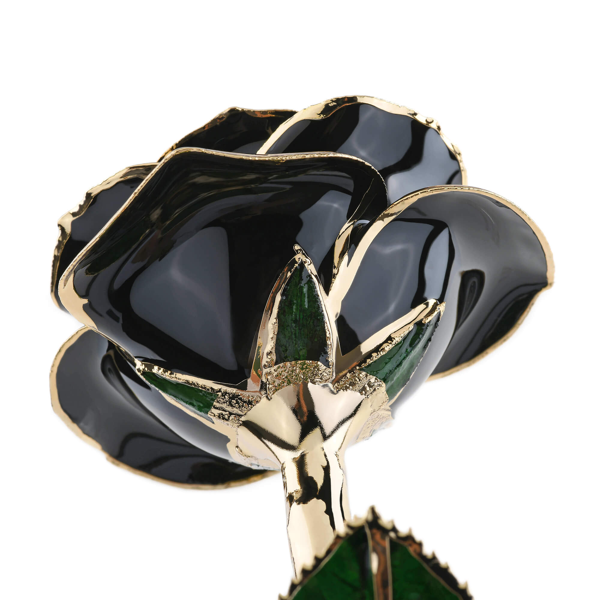 Timeless Rose (Black)-thumbmail-2