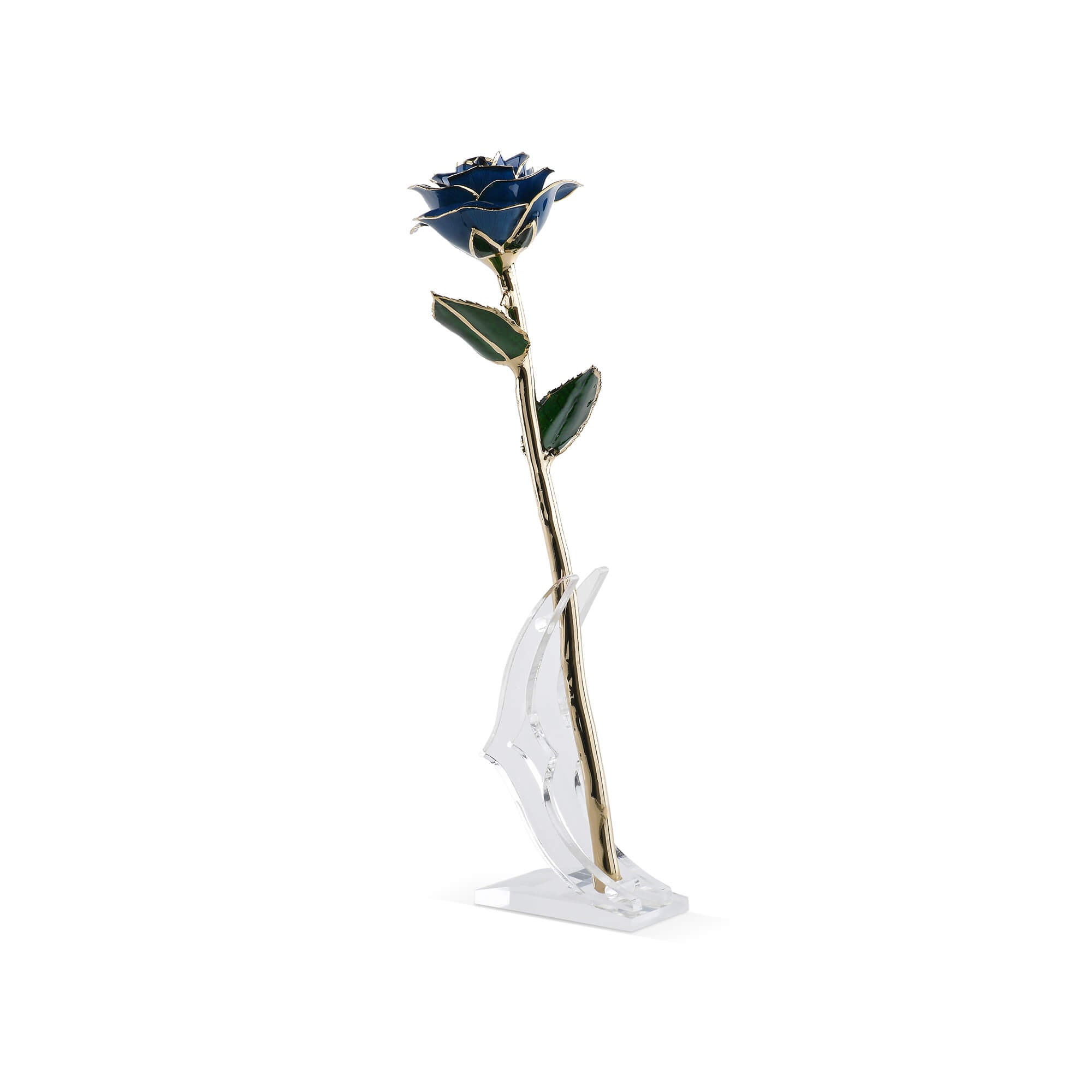 Timeless Rose (Blue)-thumbmail-5