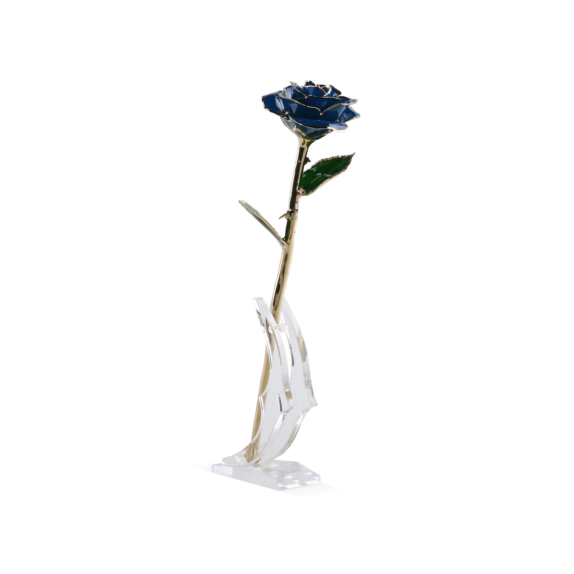 Timeless Rose (Blue)-thumbmail-1
