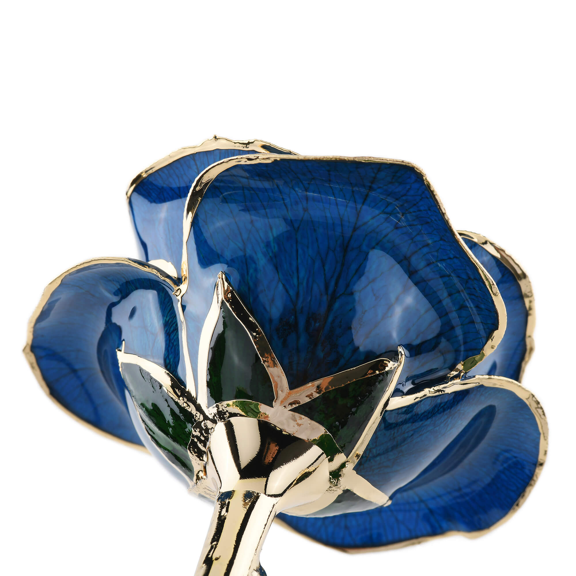Timeless Rose (Blue)-thumbmail-3