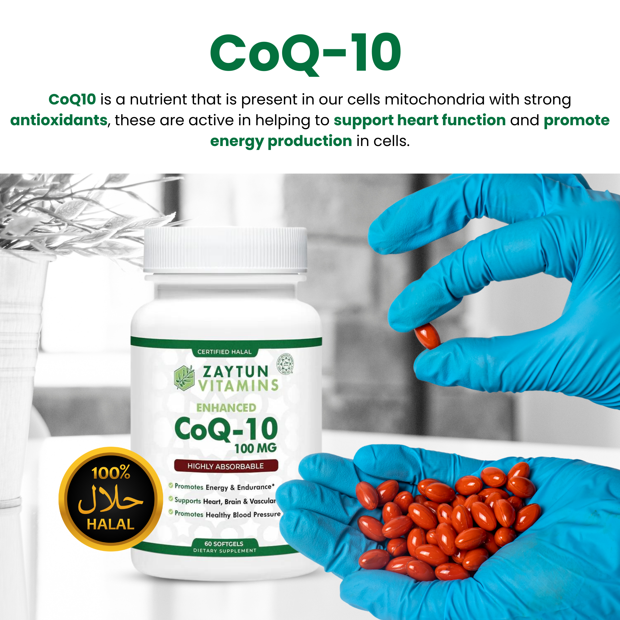 Halal CoQ-10 + Vitamin E Softgels (3-Pack)-thumbmail-3