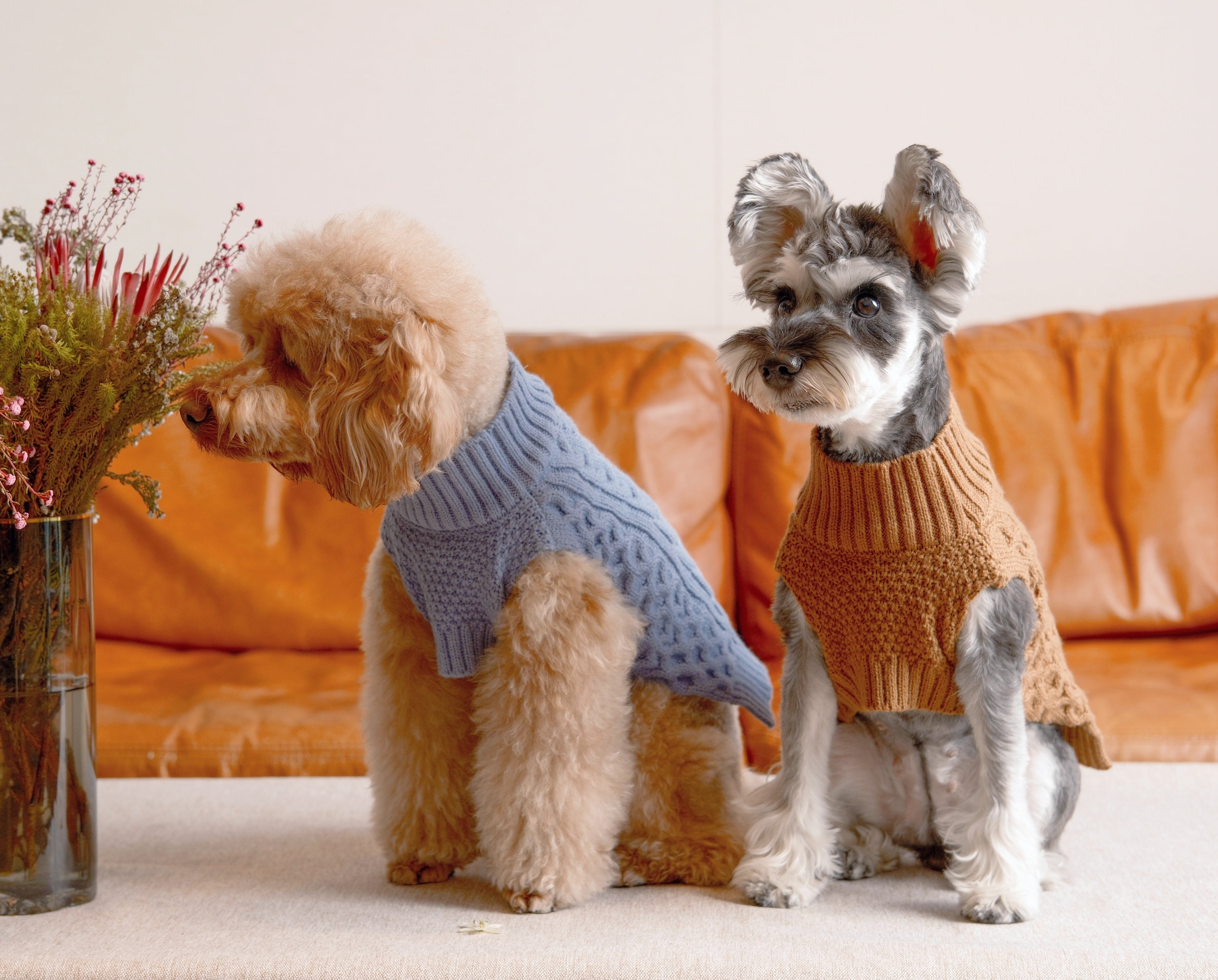 Pet Sweater Vest - Ice Blue-thumbmail-3