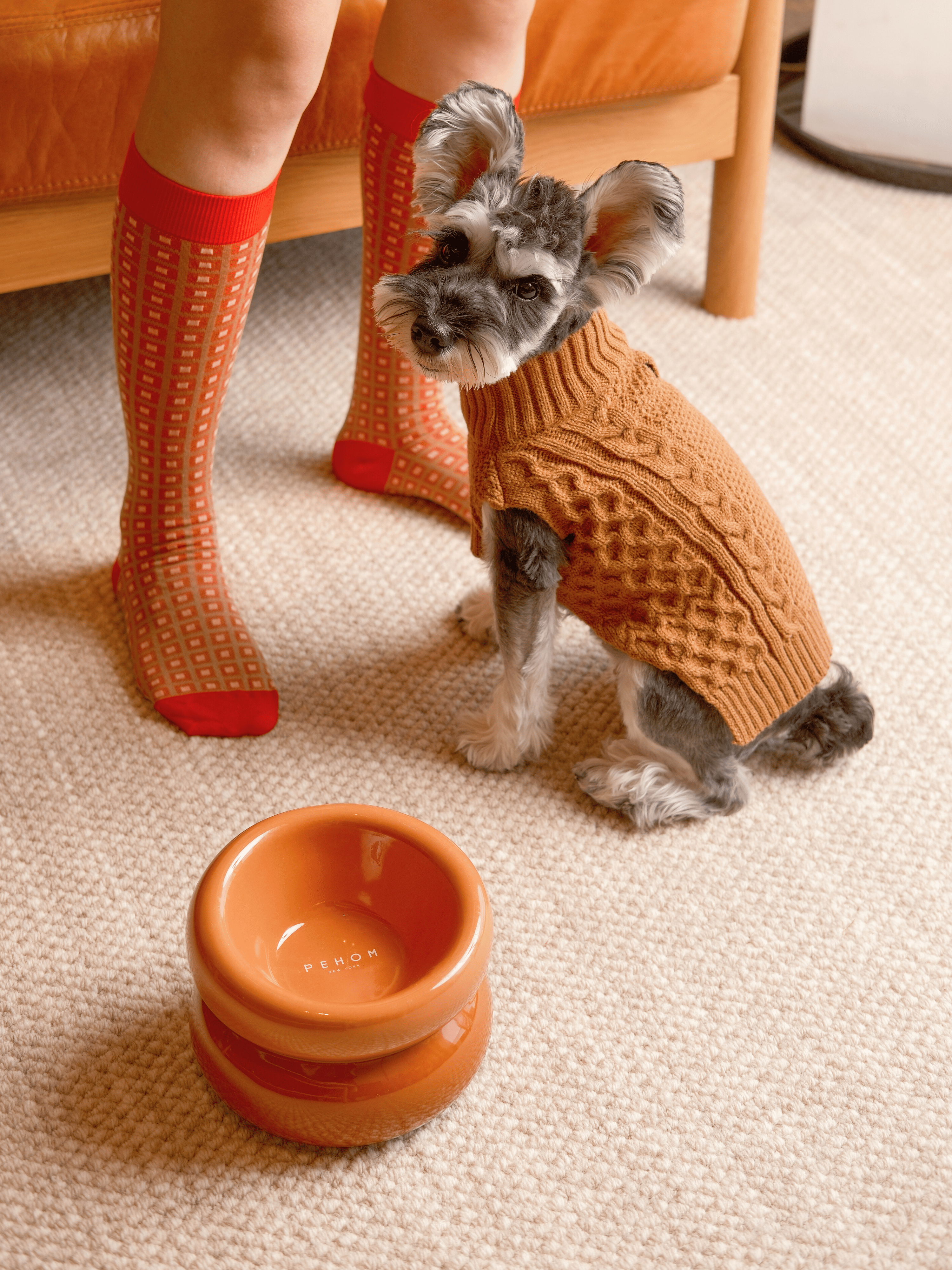 Pet Sweater Vest - Toffee Orange-thumbmail-4