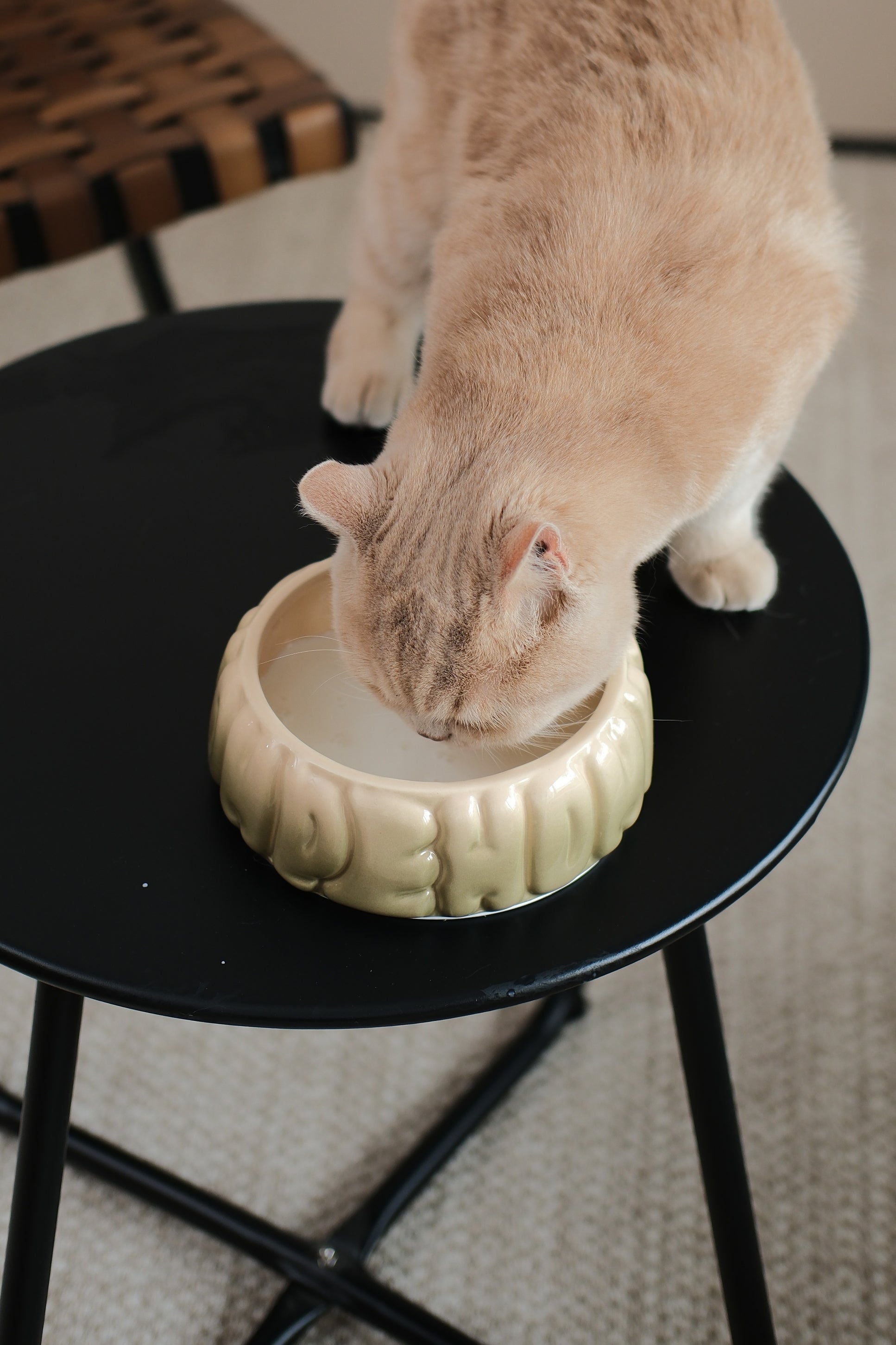 Puff Pet Bowl - Gradient Olive-thumbmail-3